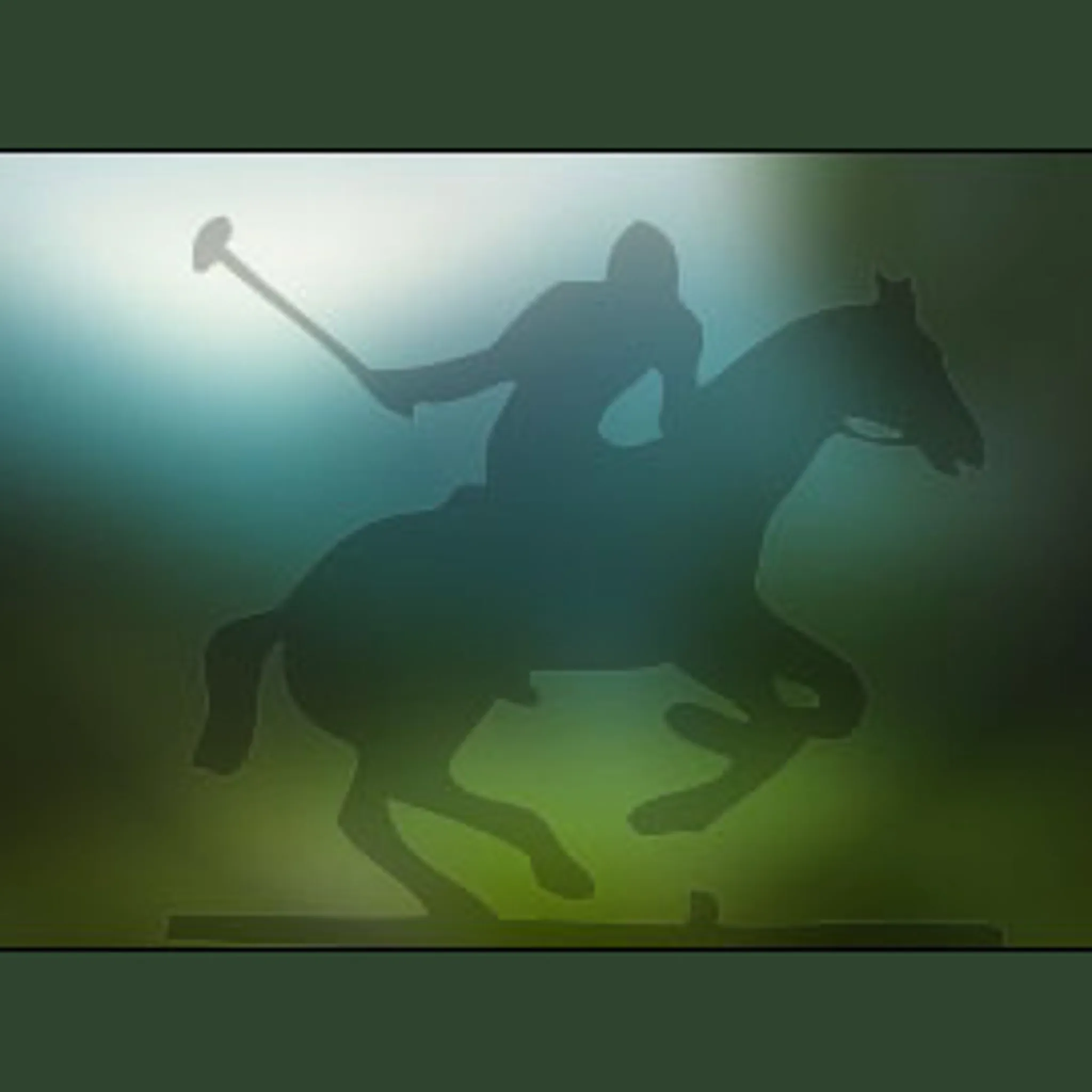 Sunshine Coast Polo Club