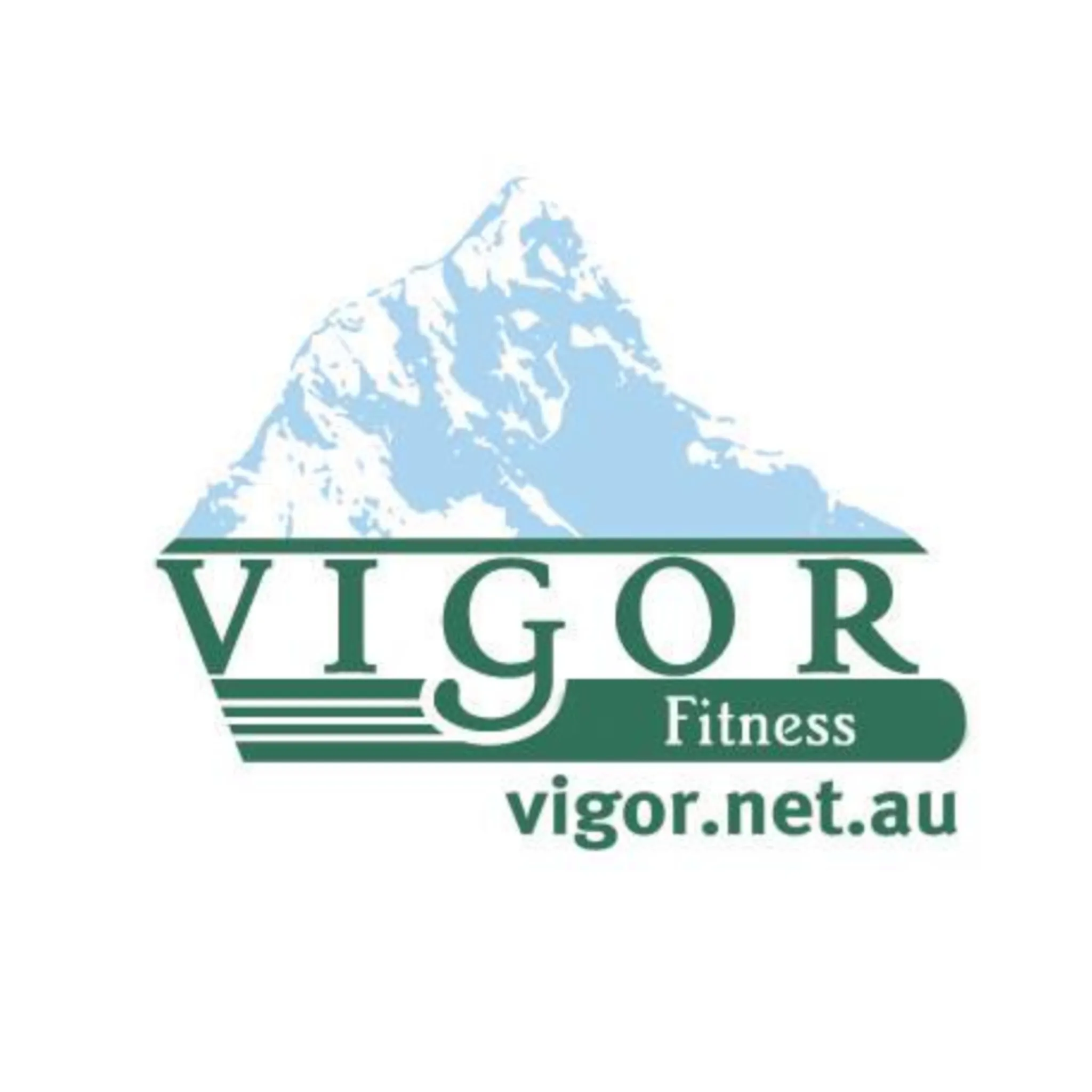 Vigor Fitness