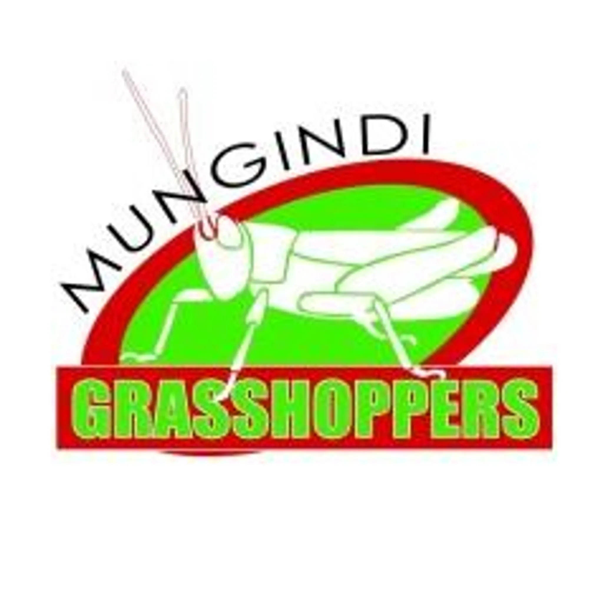 Mungindi JRL (Balonne-Barwon Junior Rugby League)