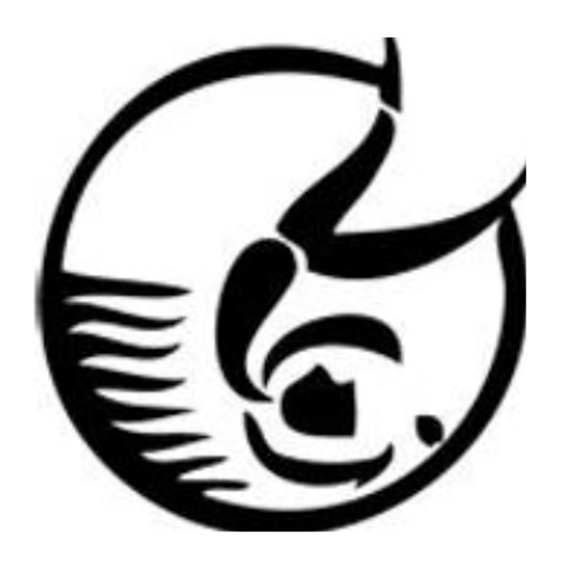 South Australian Underwater Hockey