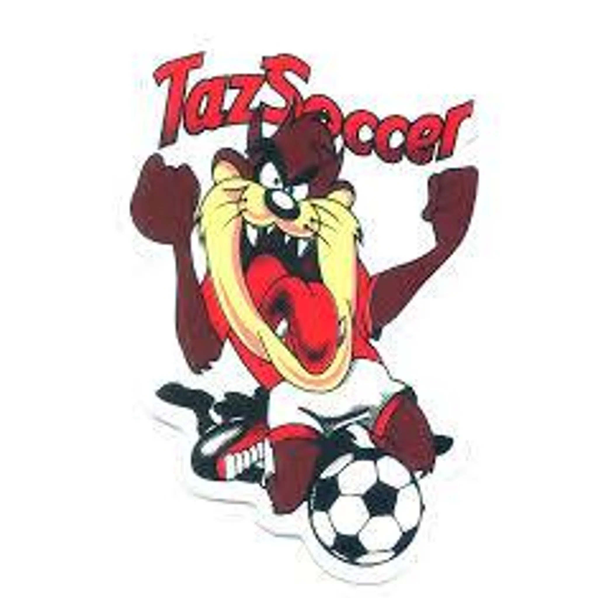 Bathurst City Red Tops Soccer Club