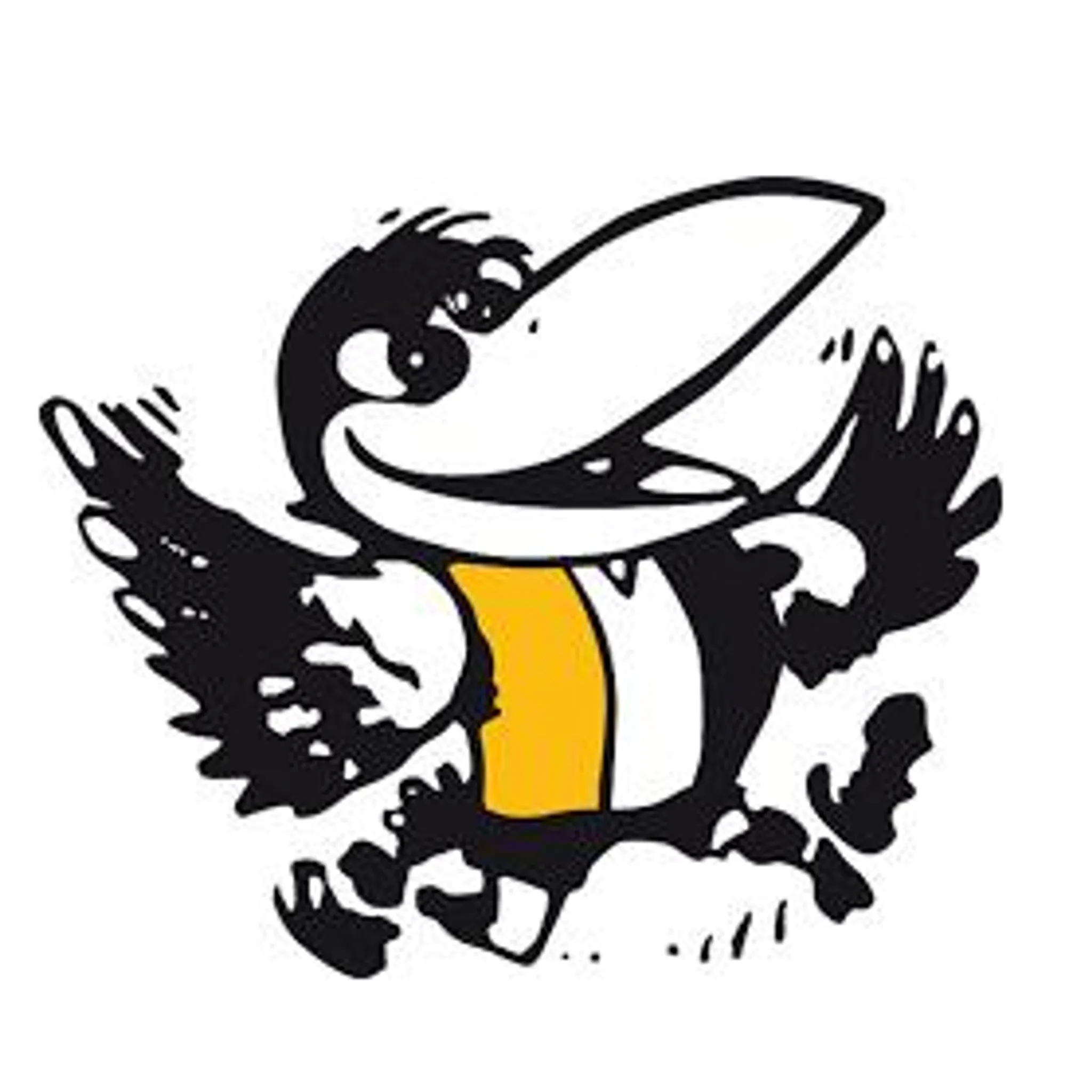 Ashwood Football Club