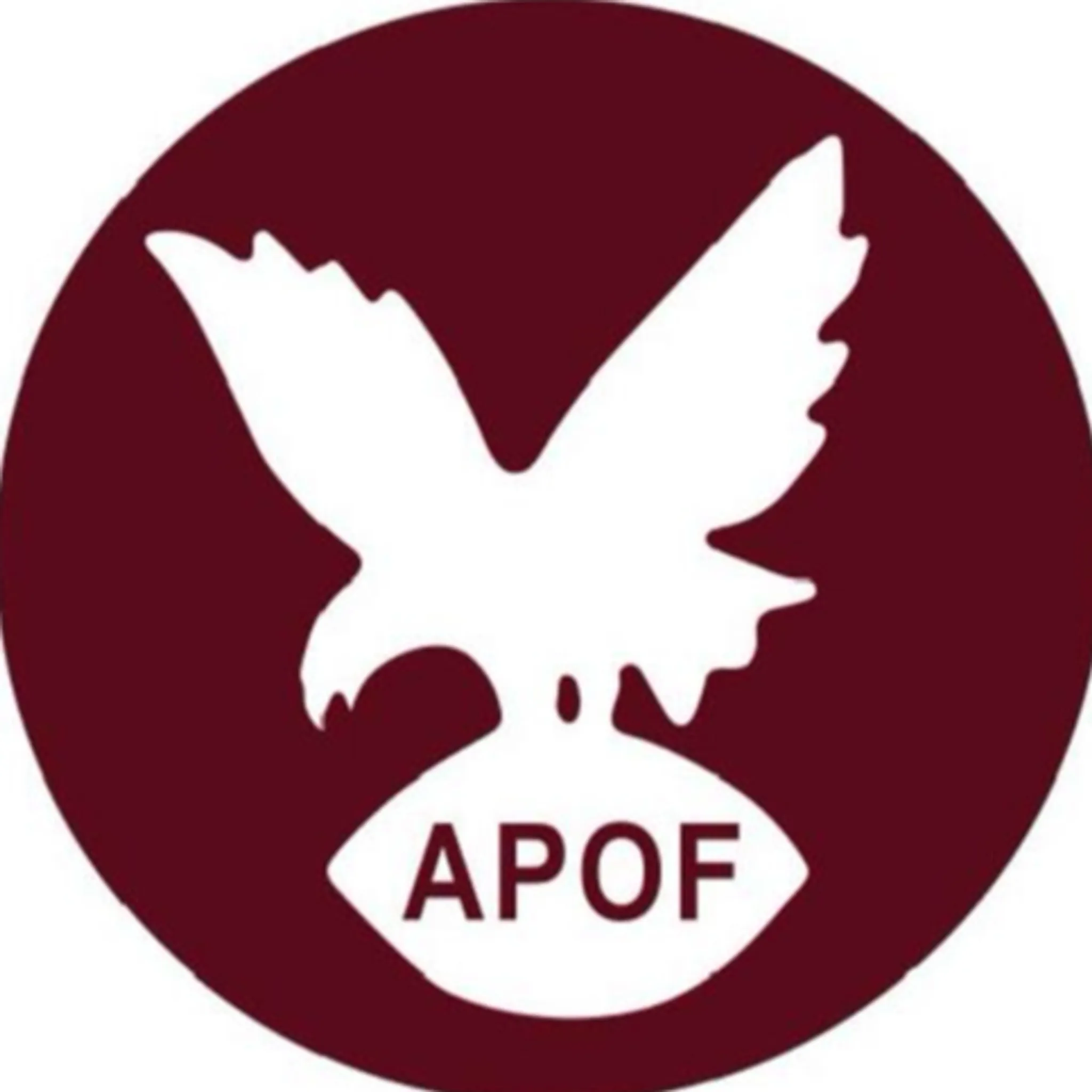 Albion Park Oak Flats Rugby League Club