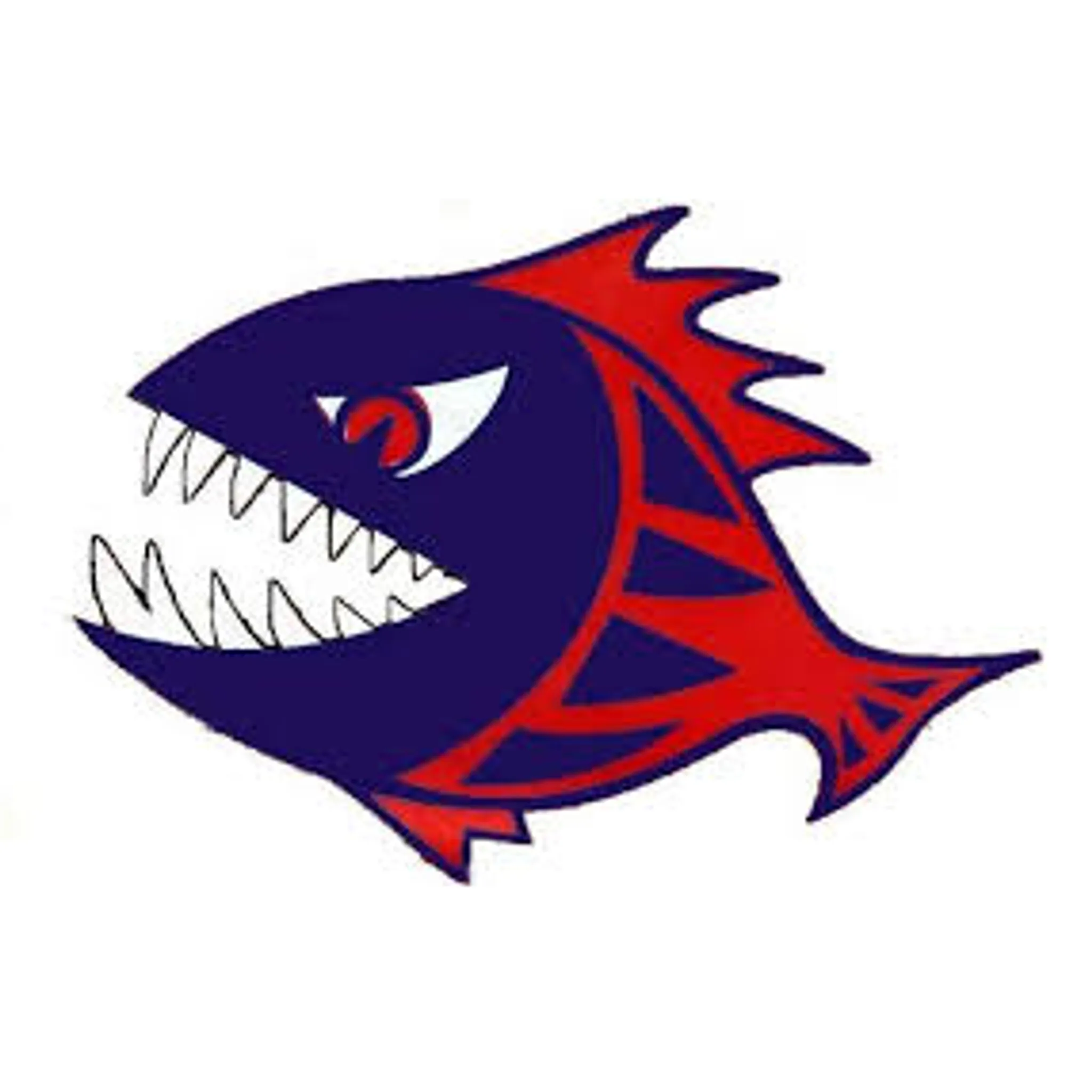 Port Augusta Swimming Club