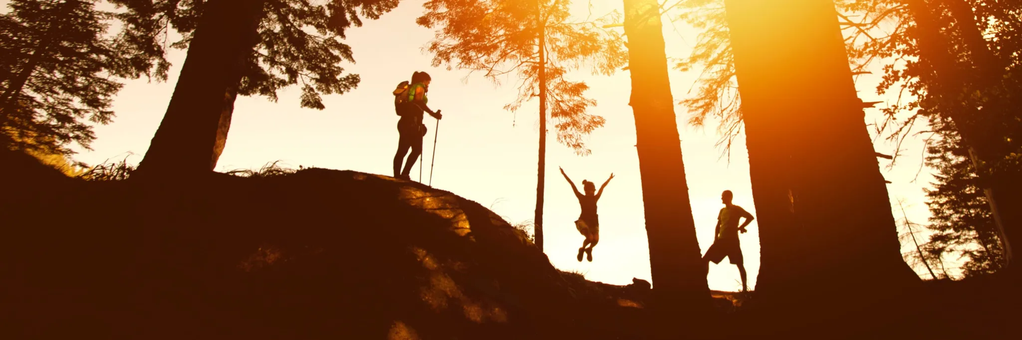 HIKEFit Trek