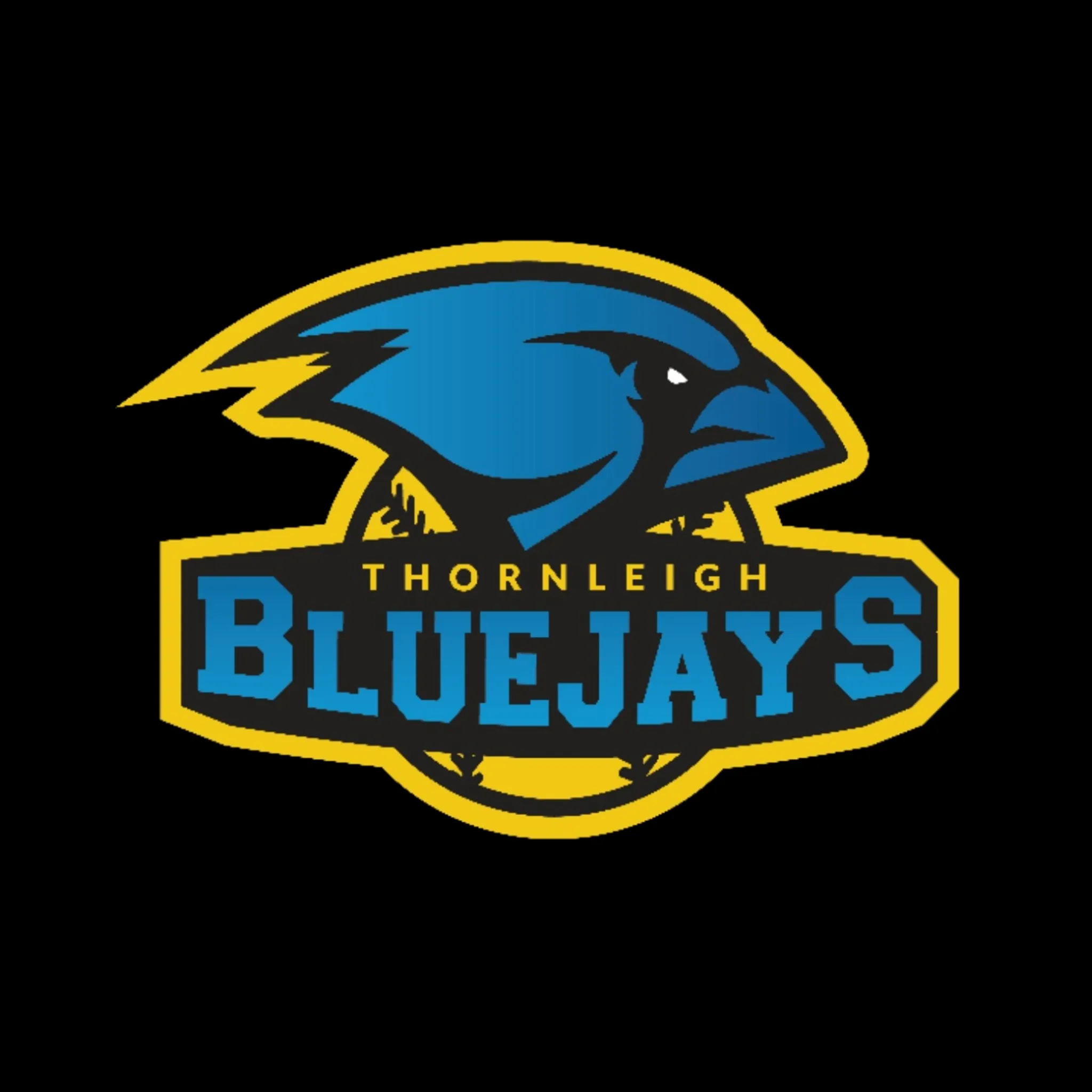 Thornleigh Softball Club