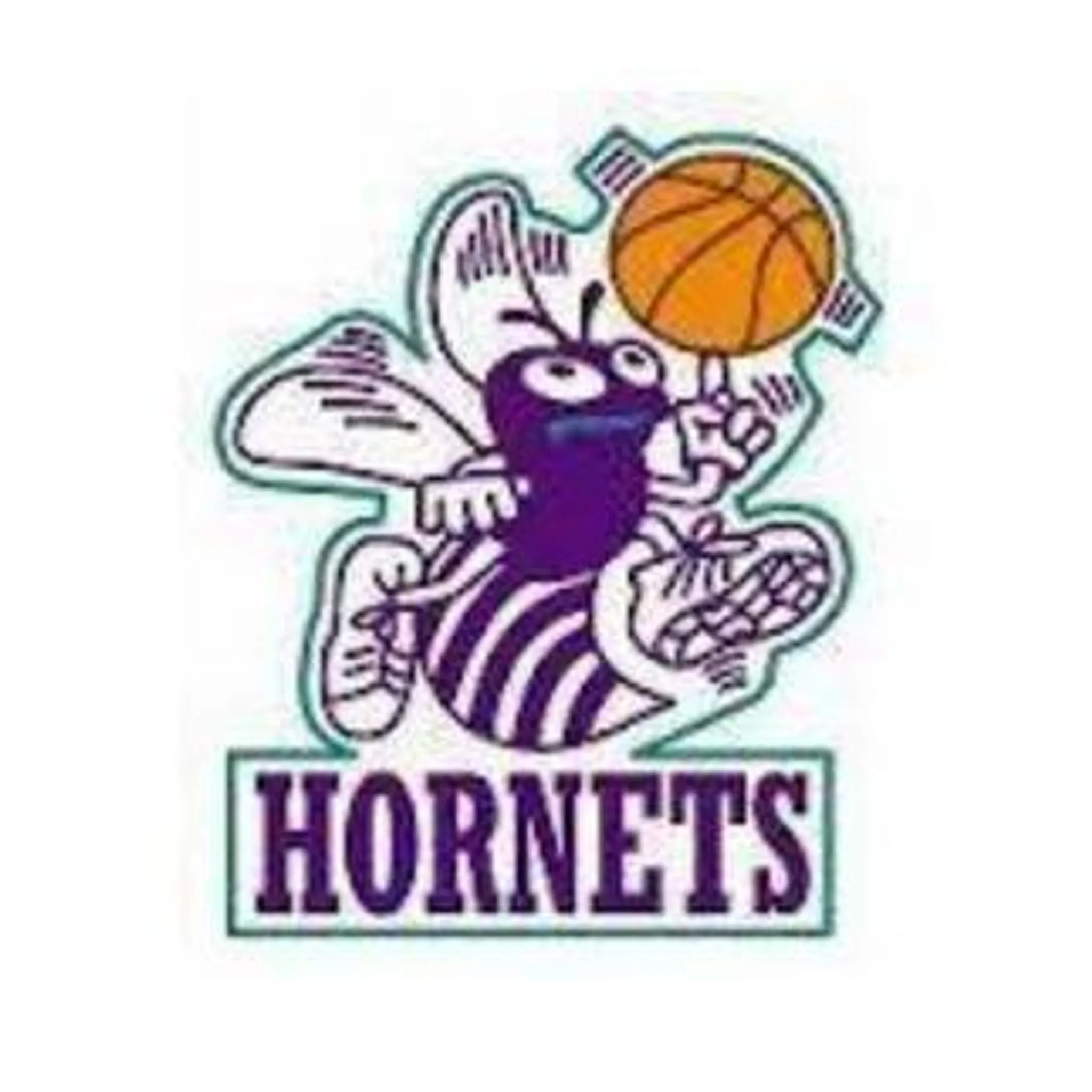 Healesville Hornets Basketball Club