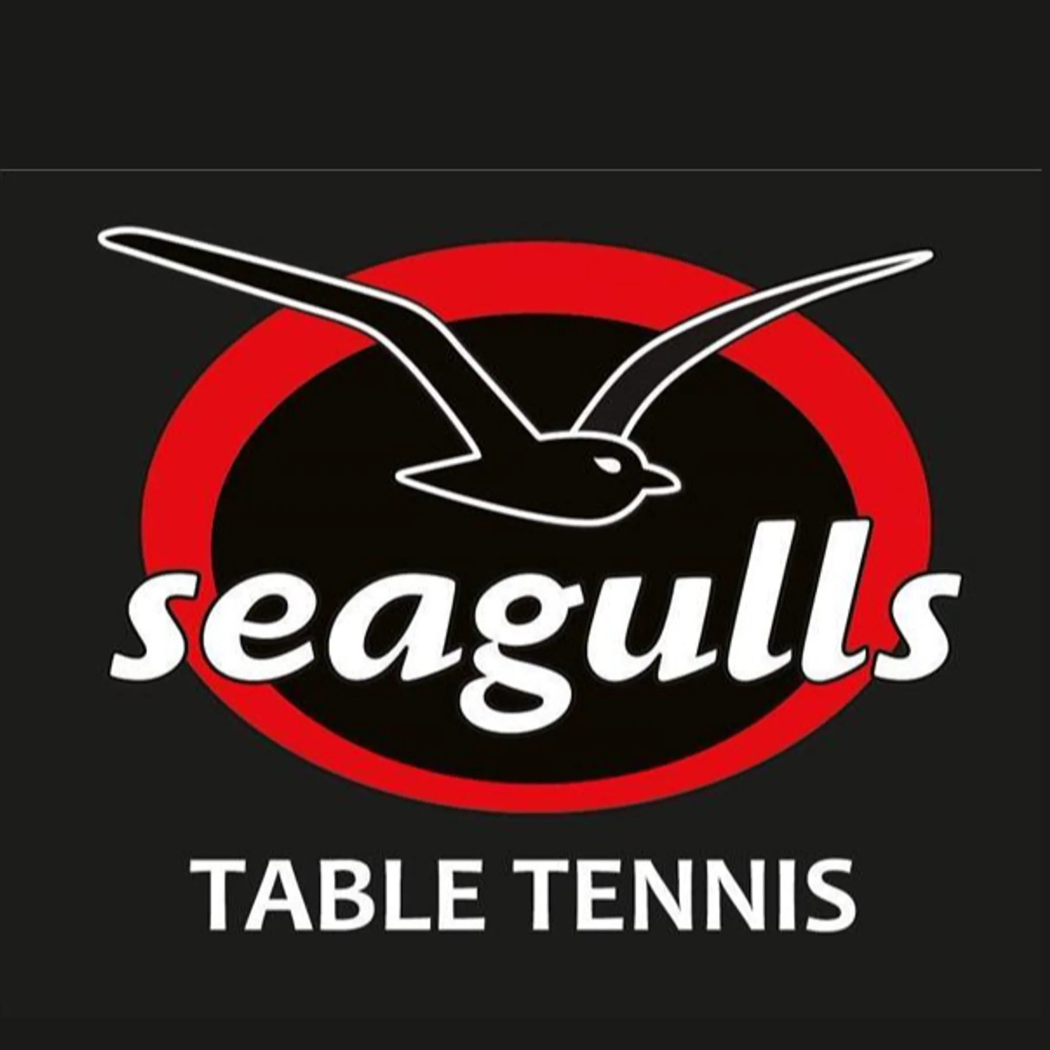Seagulls Table Tennis