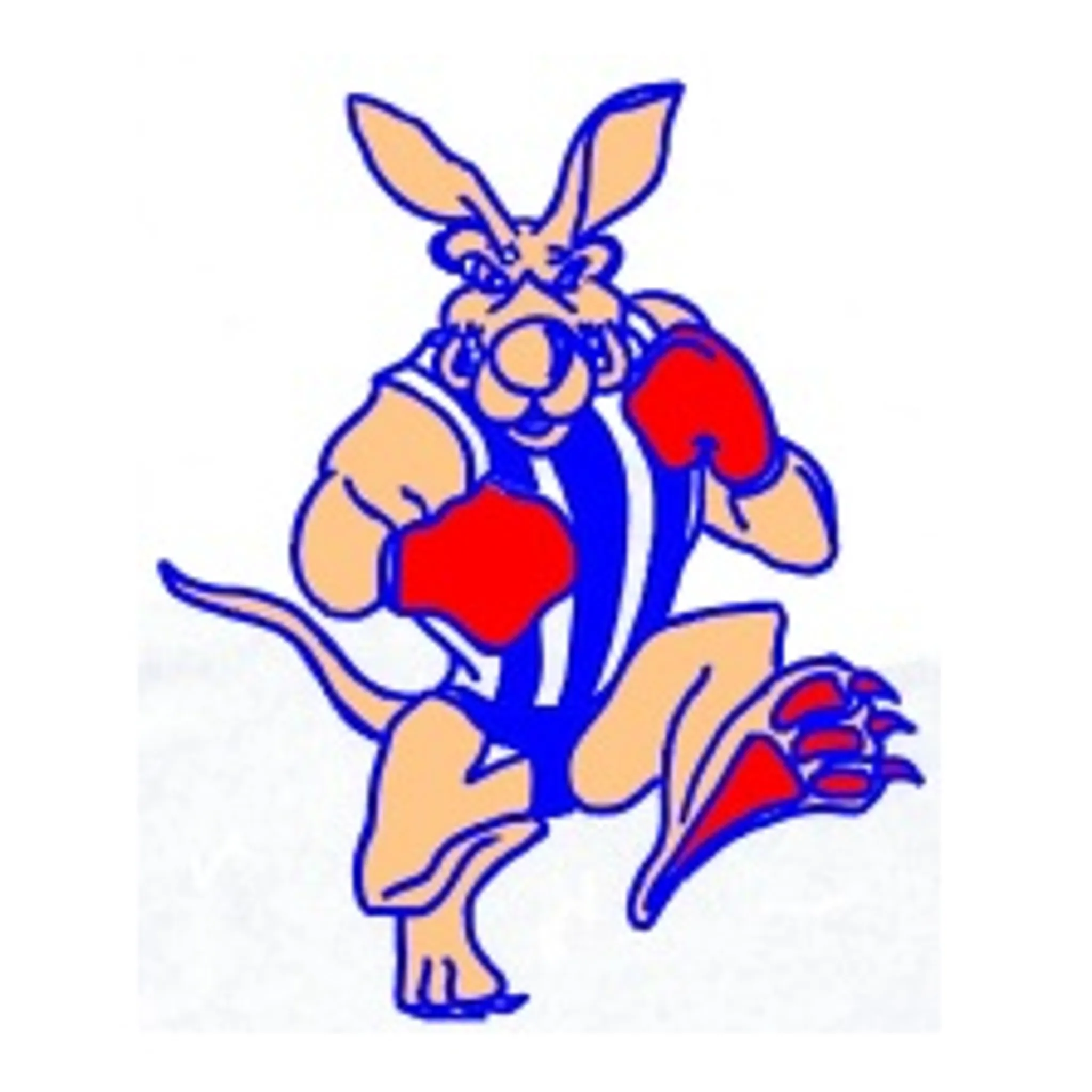 Newstead Football and Netball Club Inc.