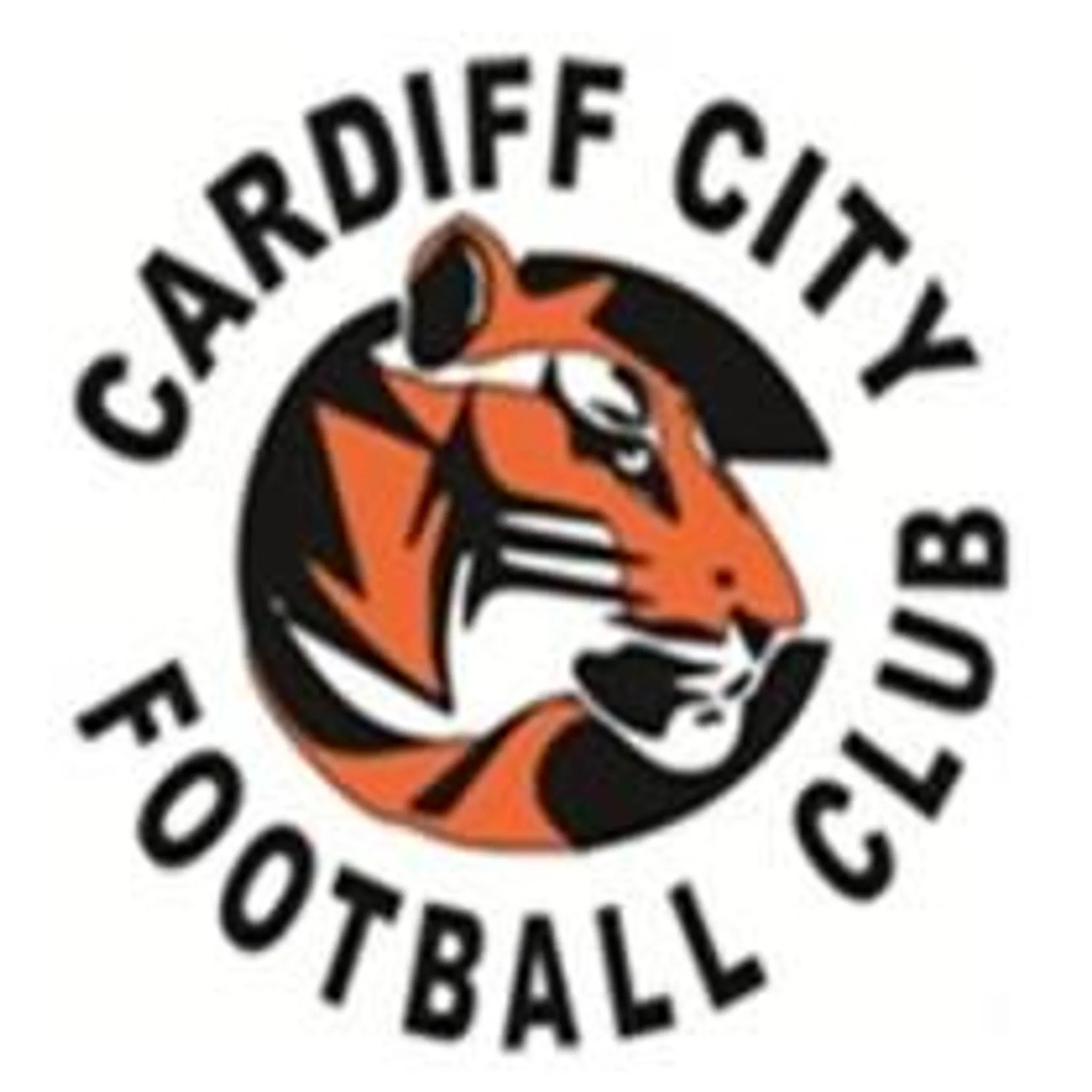 Cardiff City Football Club