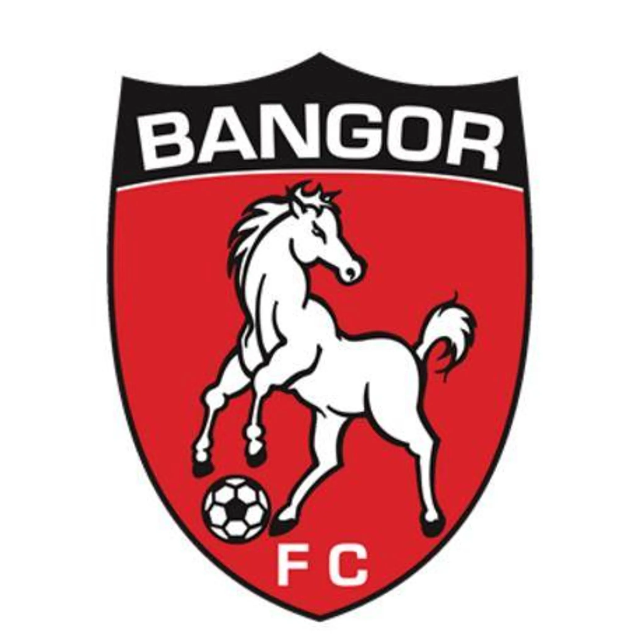 Bangor Football Club Inc