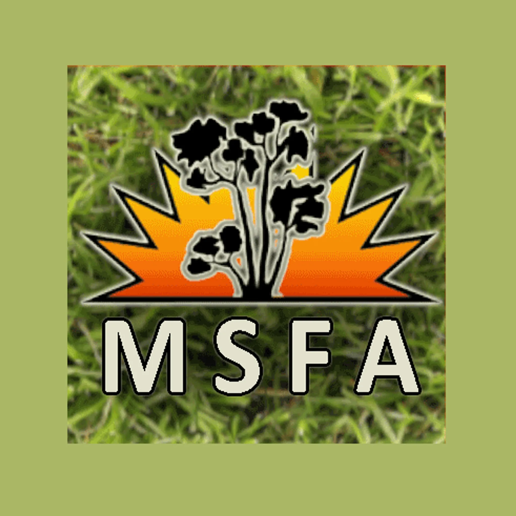 Mallee Sunset Field Archers Inc