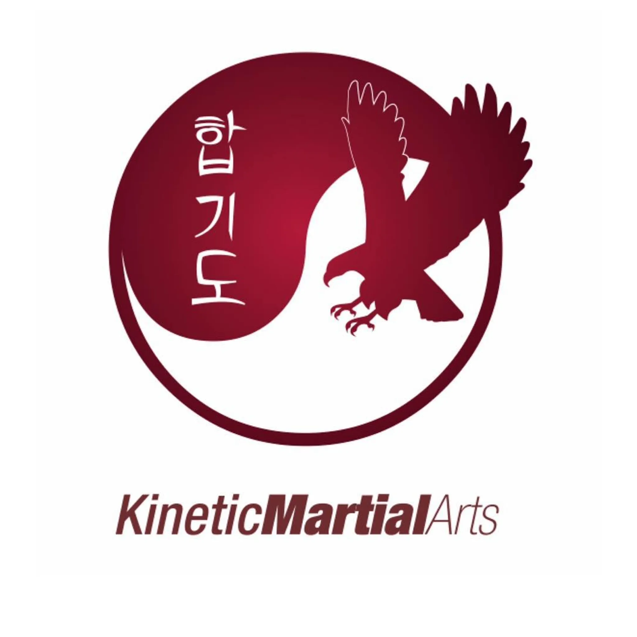 Kinetic Martial Arts-Heathcote