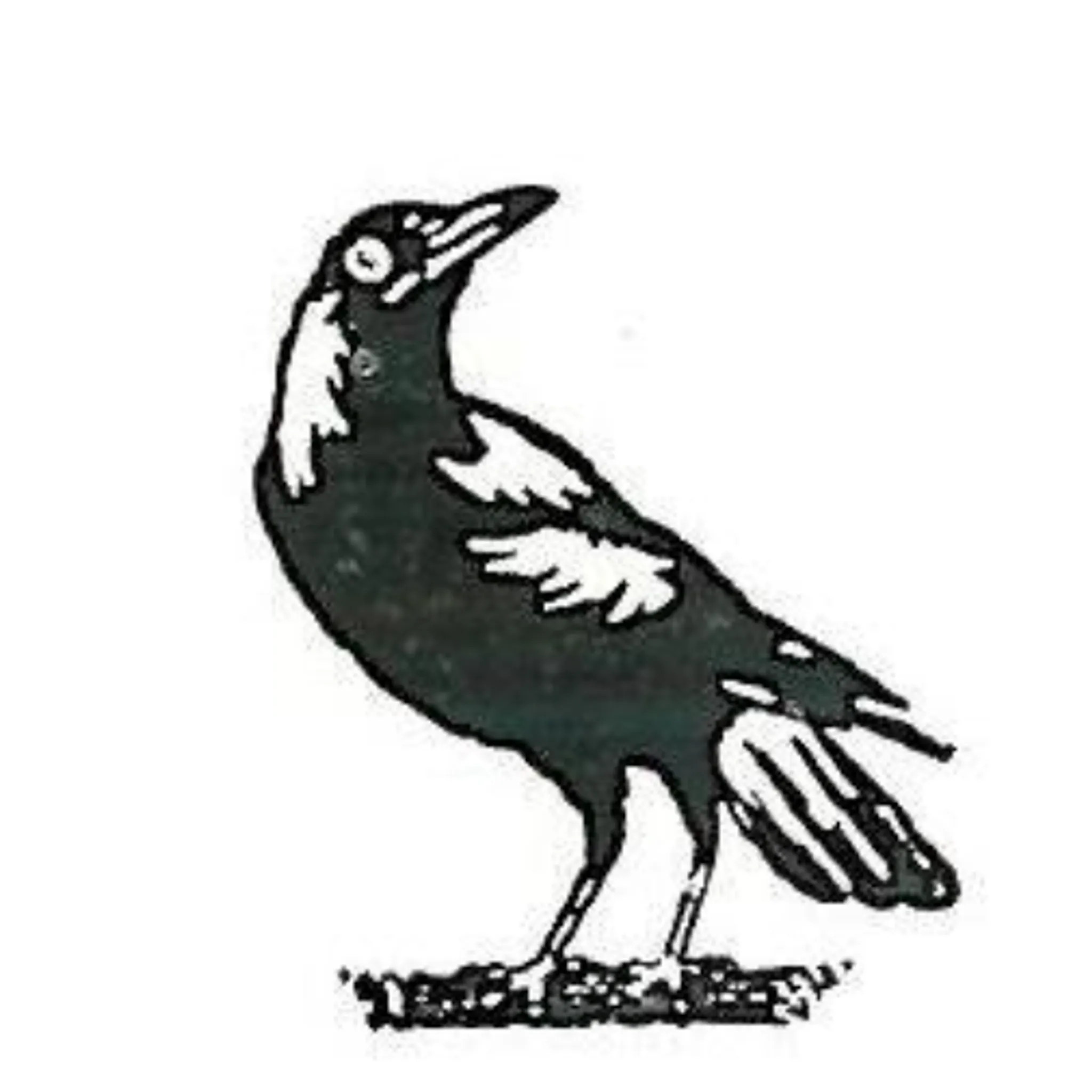 Kenny Park Tennis Club