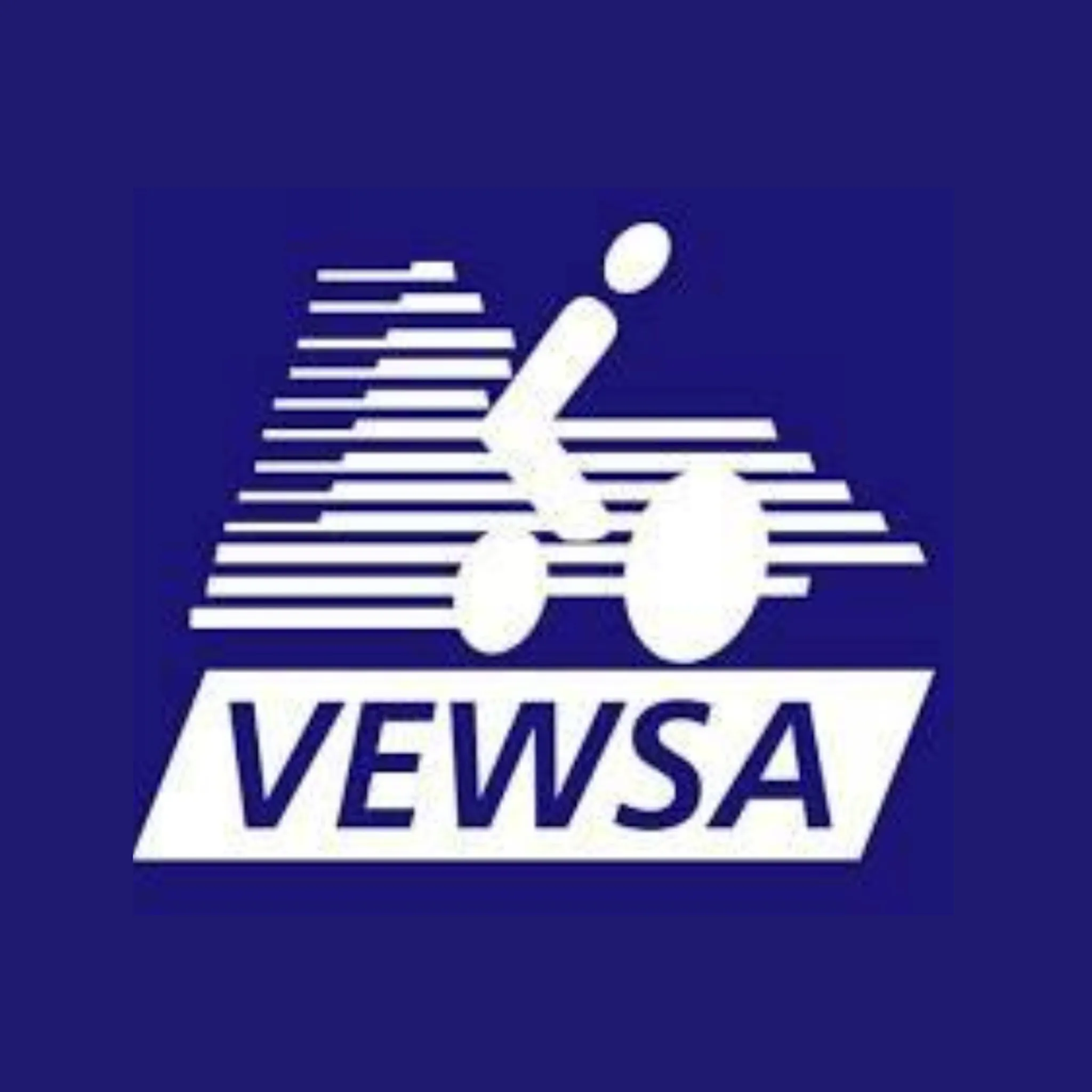 Victorian Electric Wheelchair Sports Association (VEWSA)