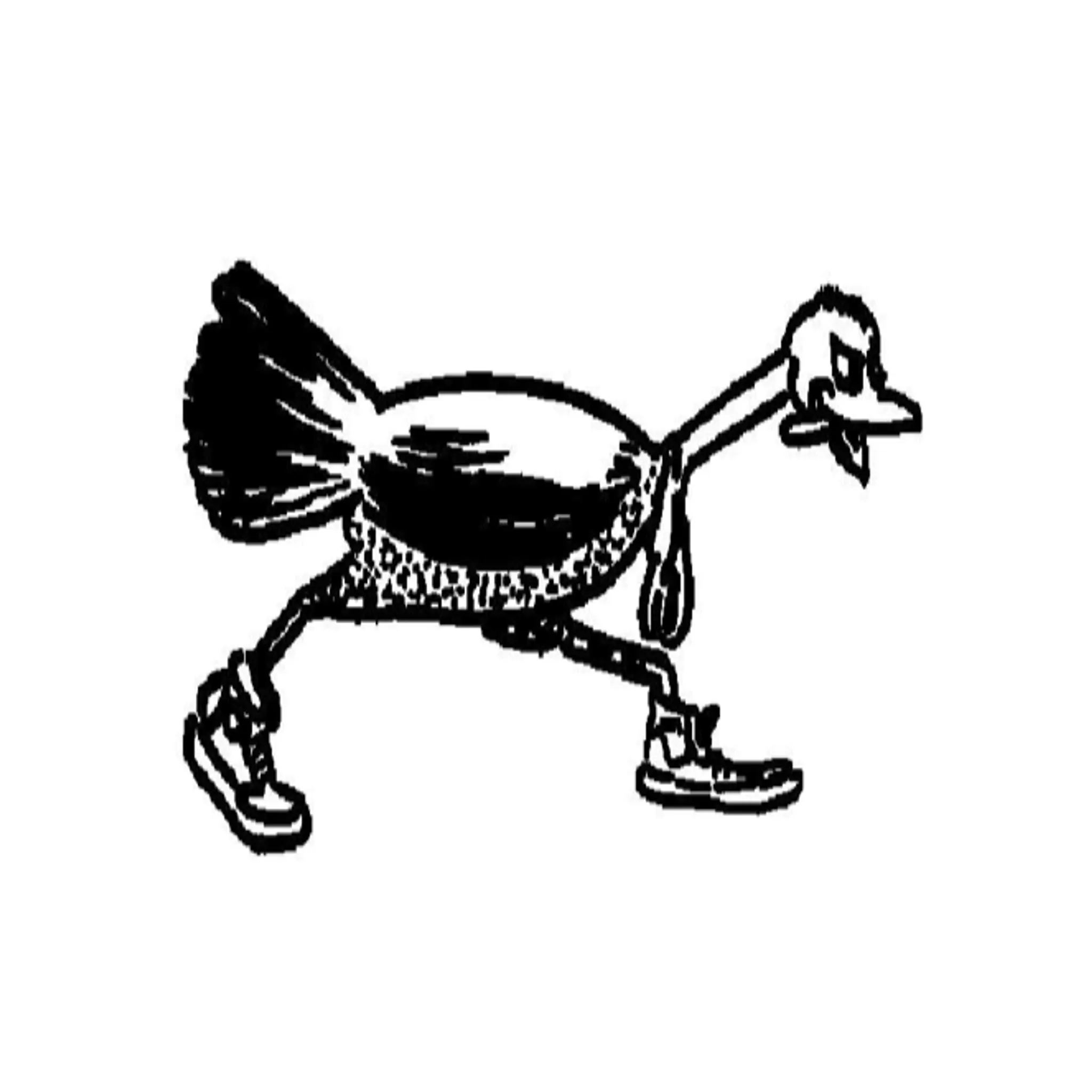 Cooktown Hash House Harriers