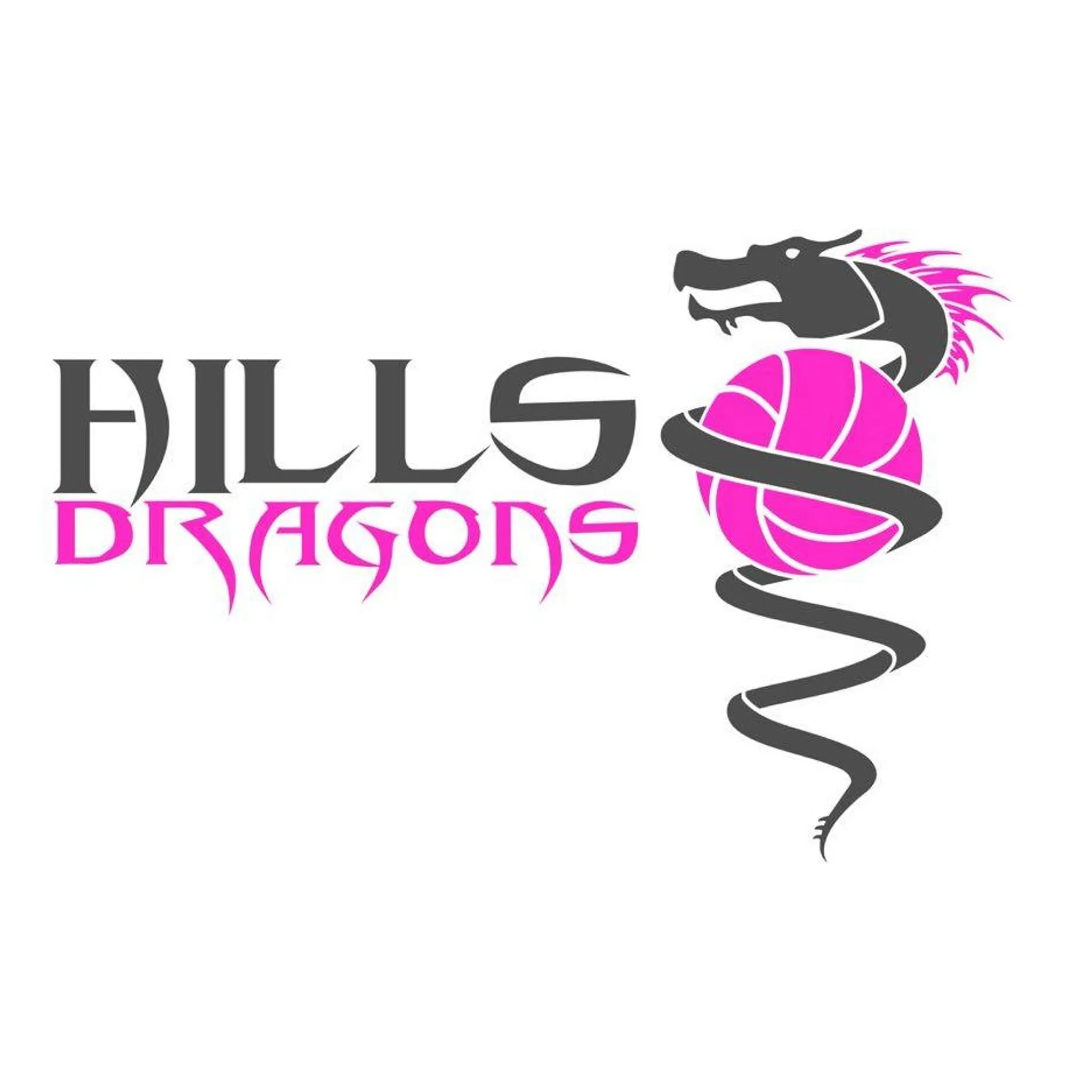 Hills Dragons Volleyball