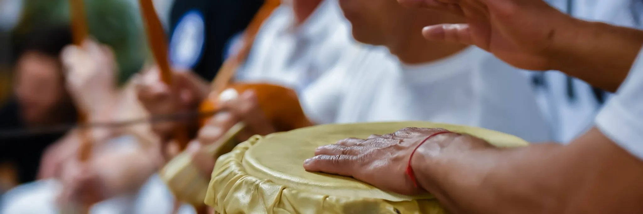 Capoeira Brazil School