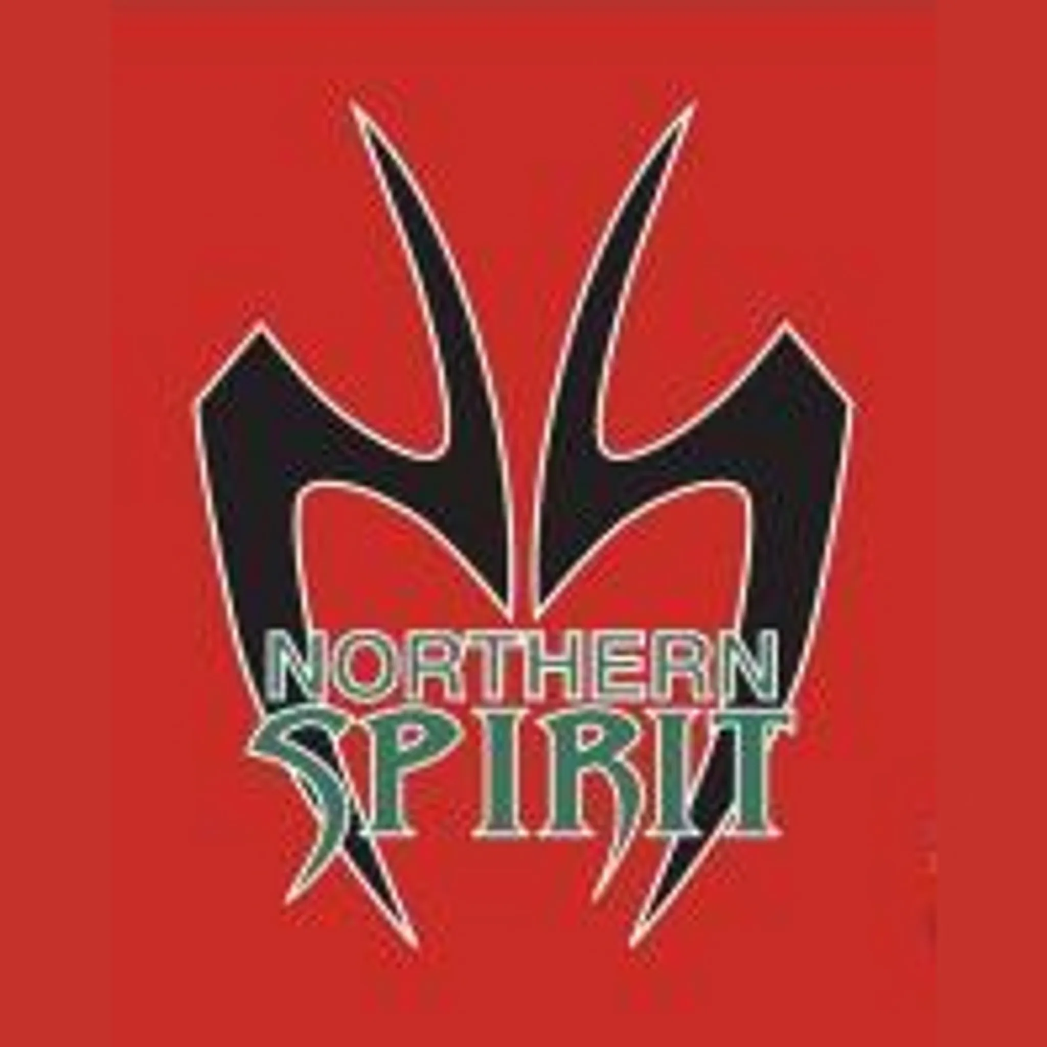 Northern Districts Touch Association