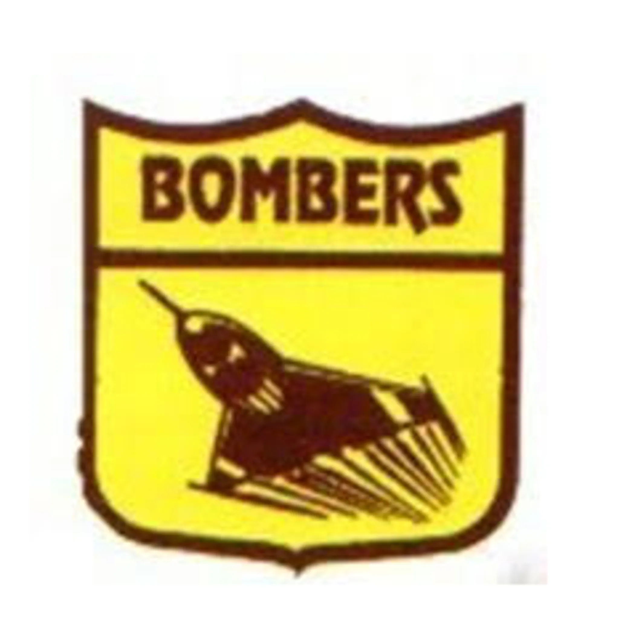 Browns Well Netball Club