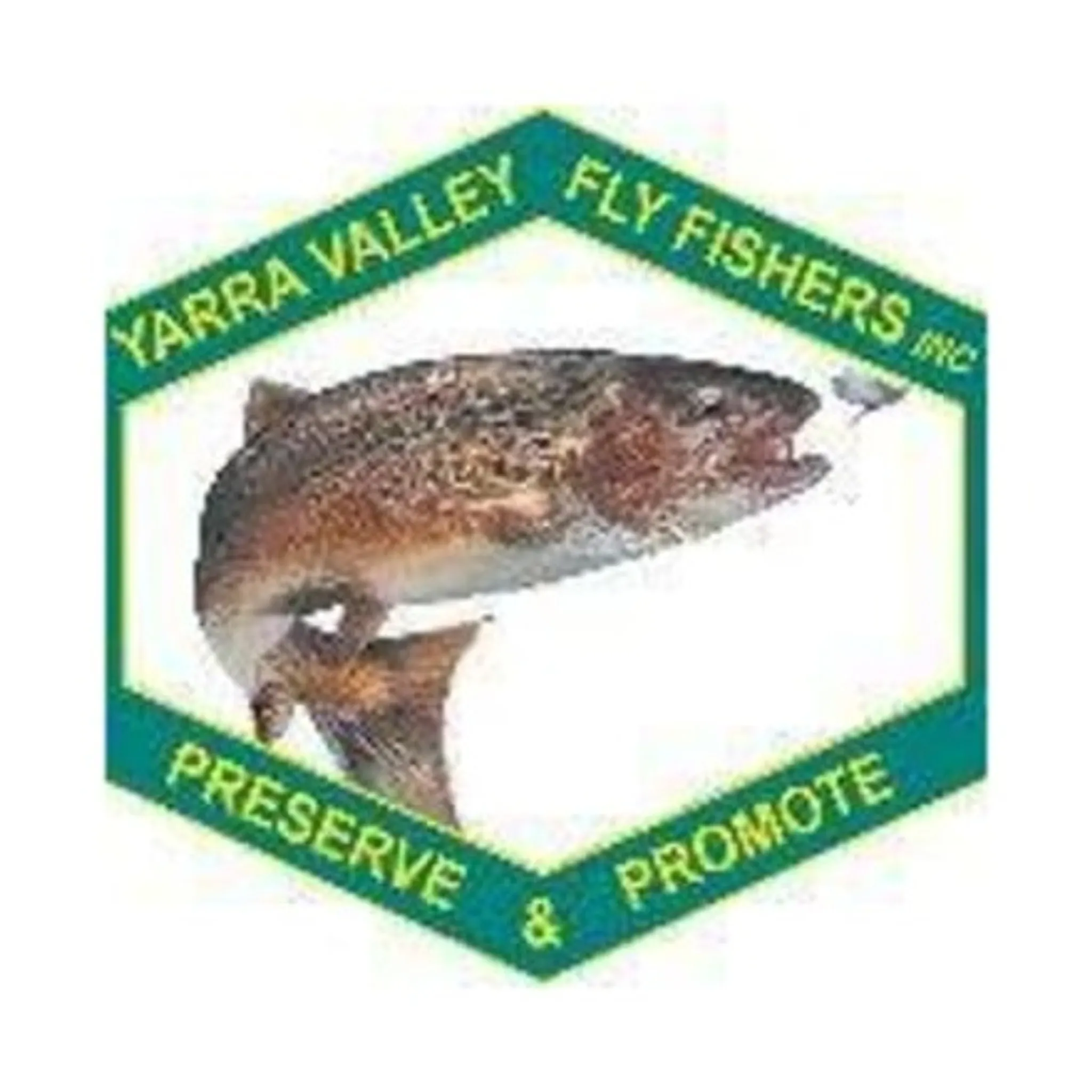 Yarra Valley Fly Fishers Inc.