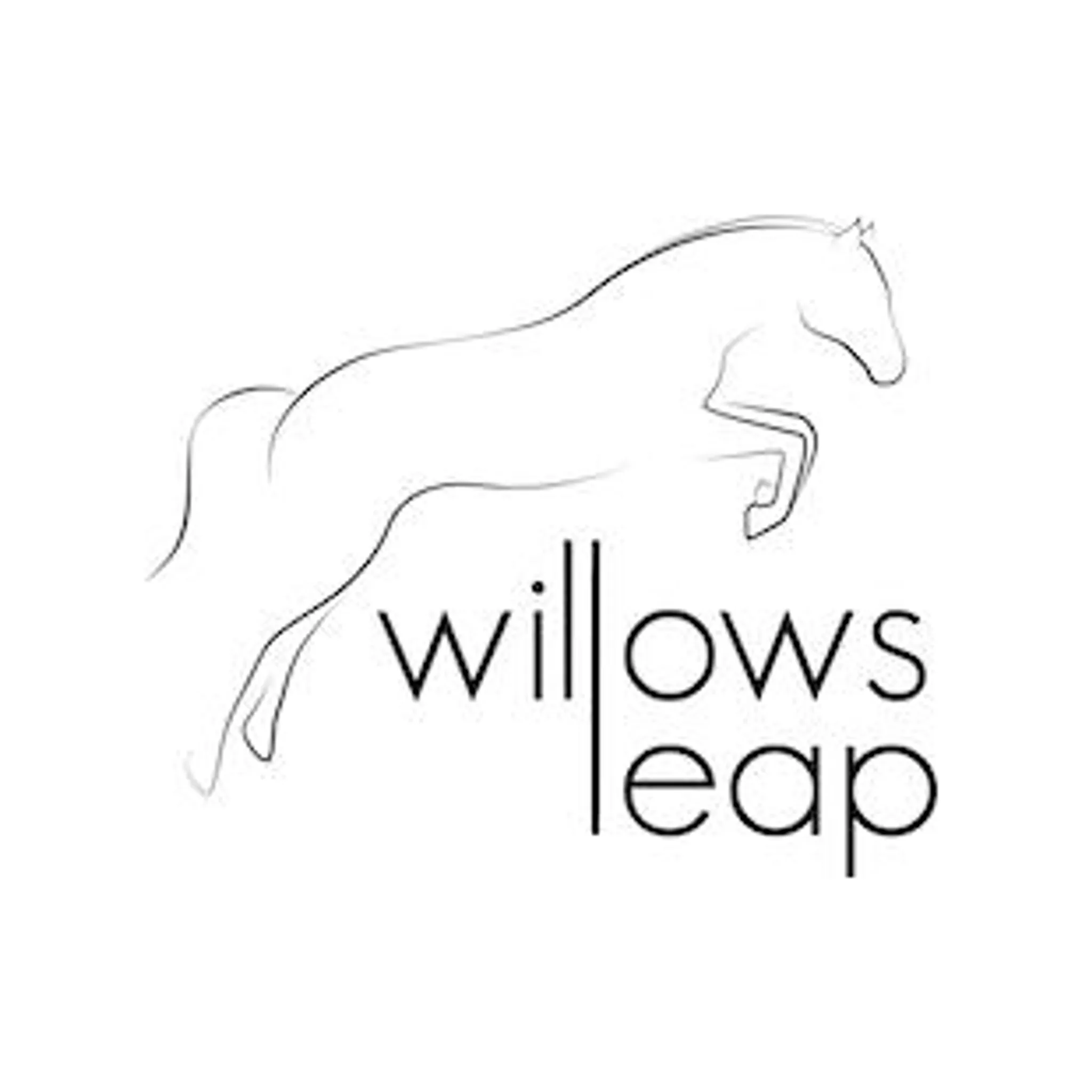 Willow's Leap Equestrian