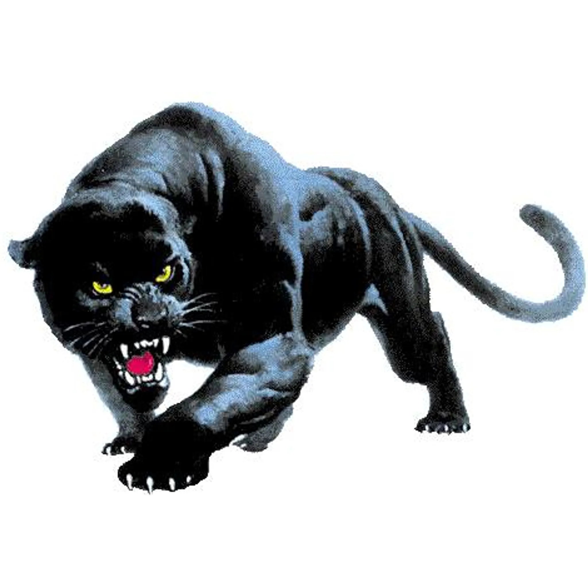 Nungarin Hockey Club