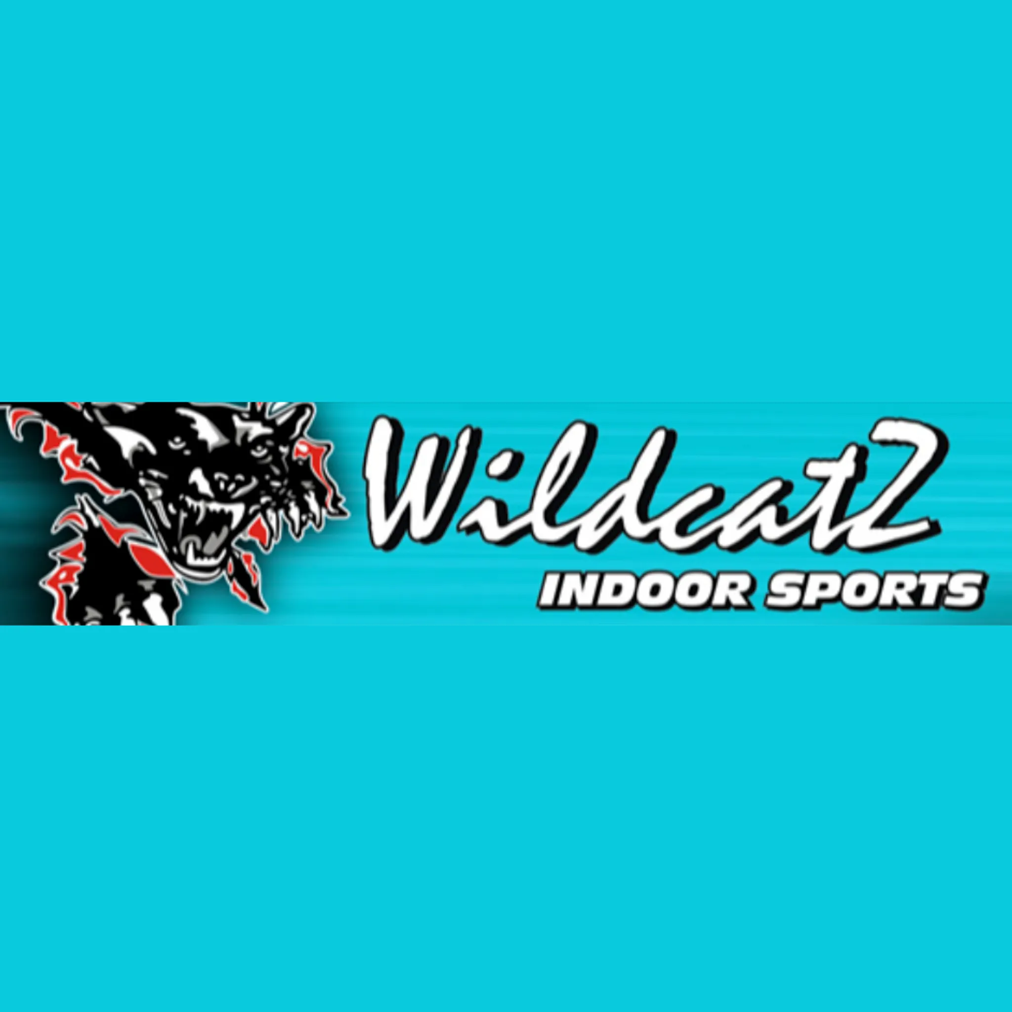 Wildcatz Indoor Sports