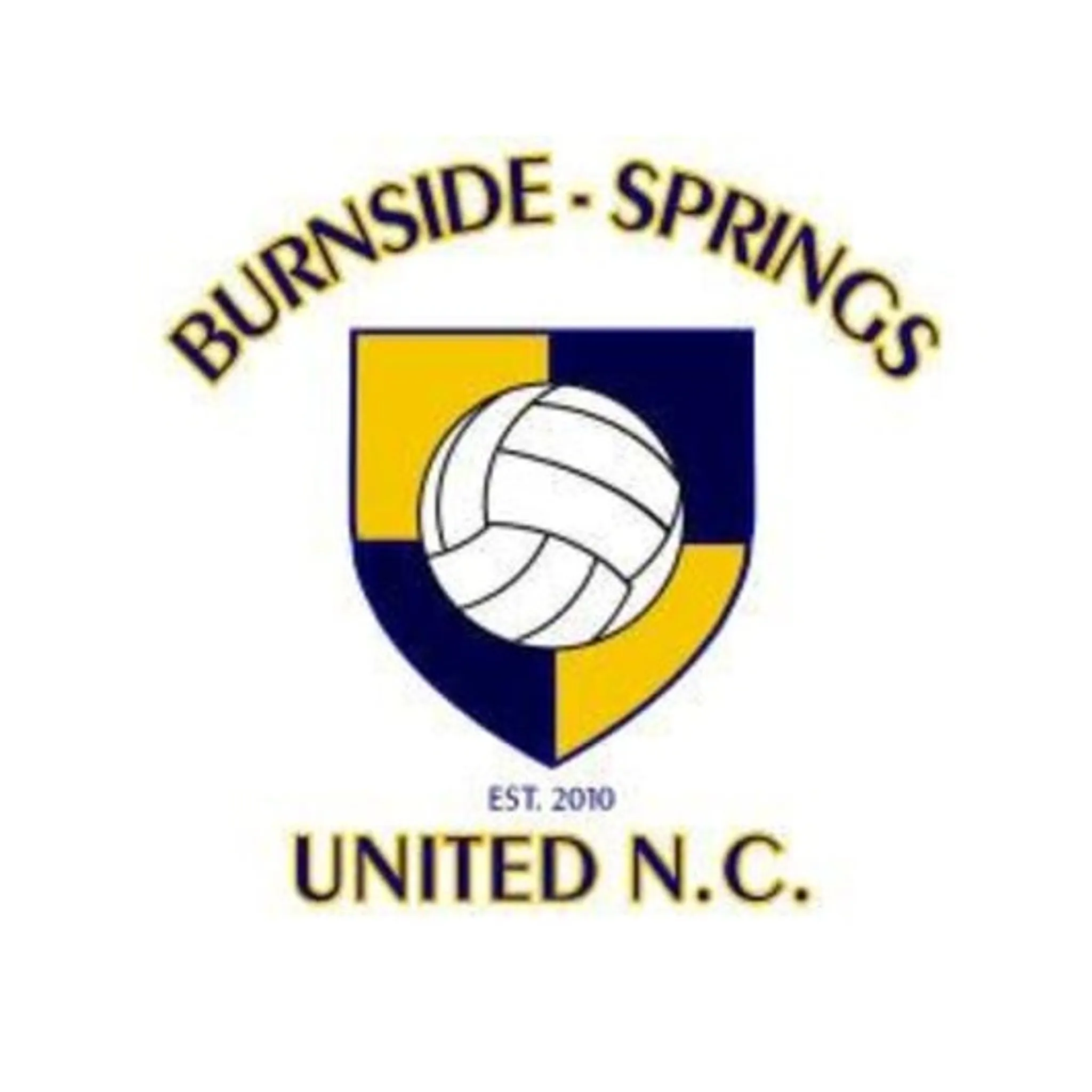 Burnside Springs Cricket Club