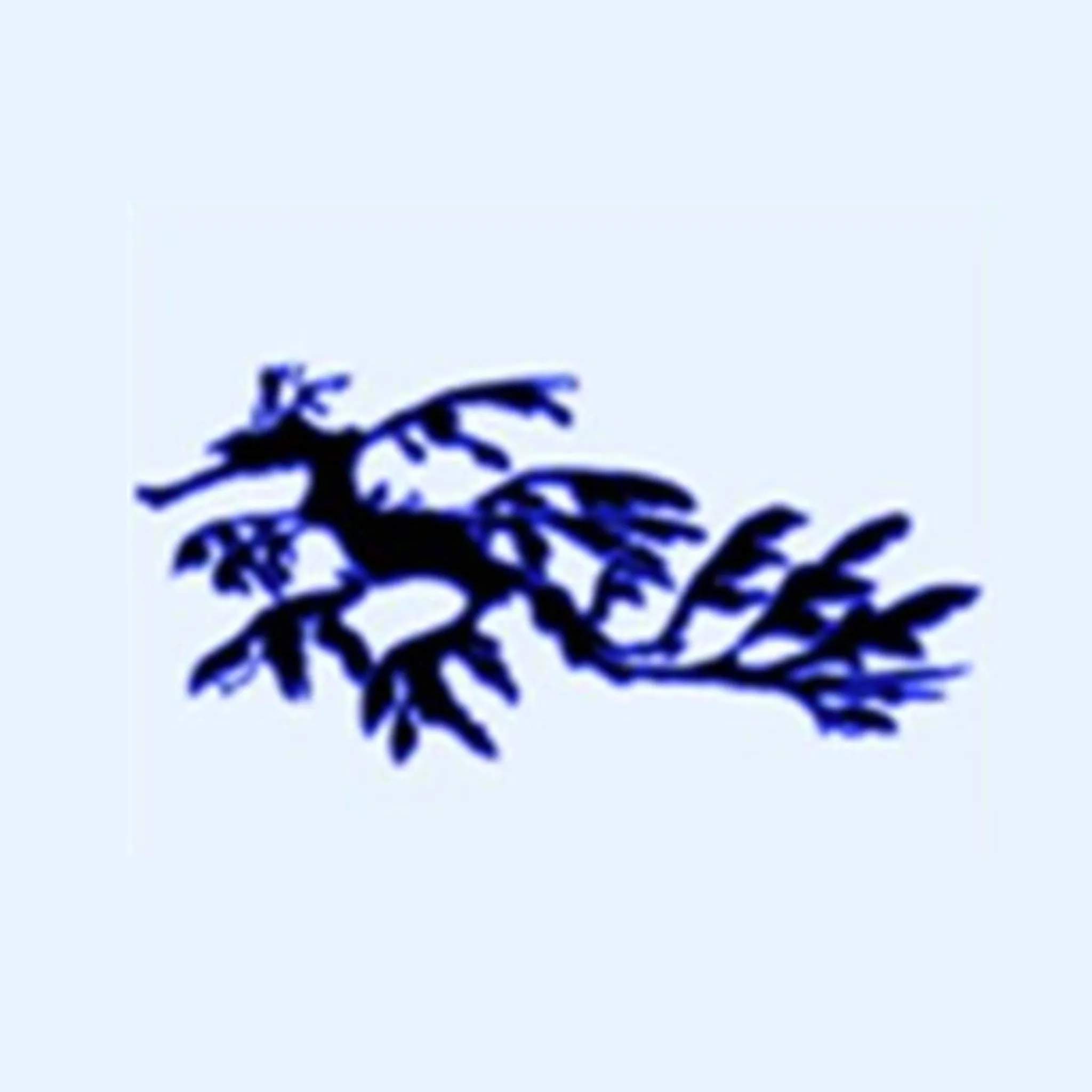 Albany Cruisers Dragon Boat Club