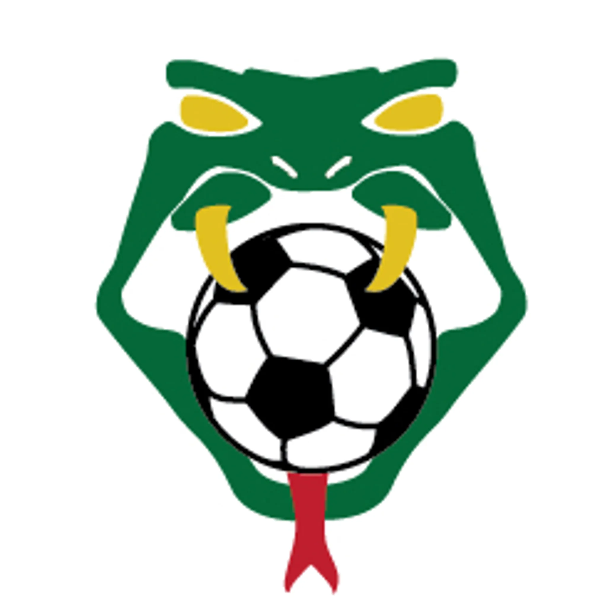 Uki Pythons Football Club