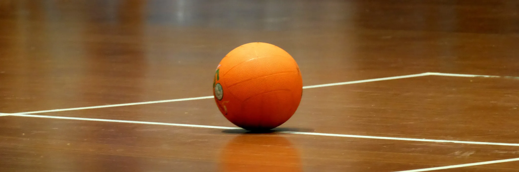 Learn and Play Dodgeball Learn and Play Dodgeball
