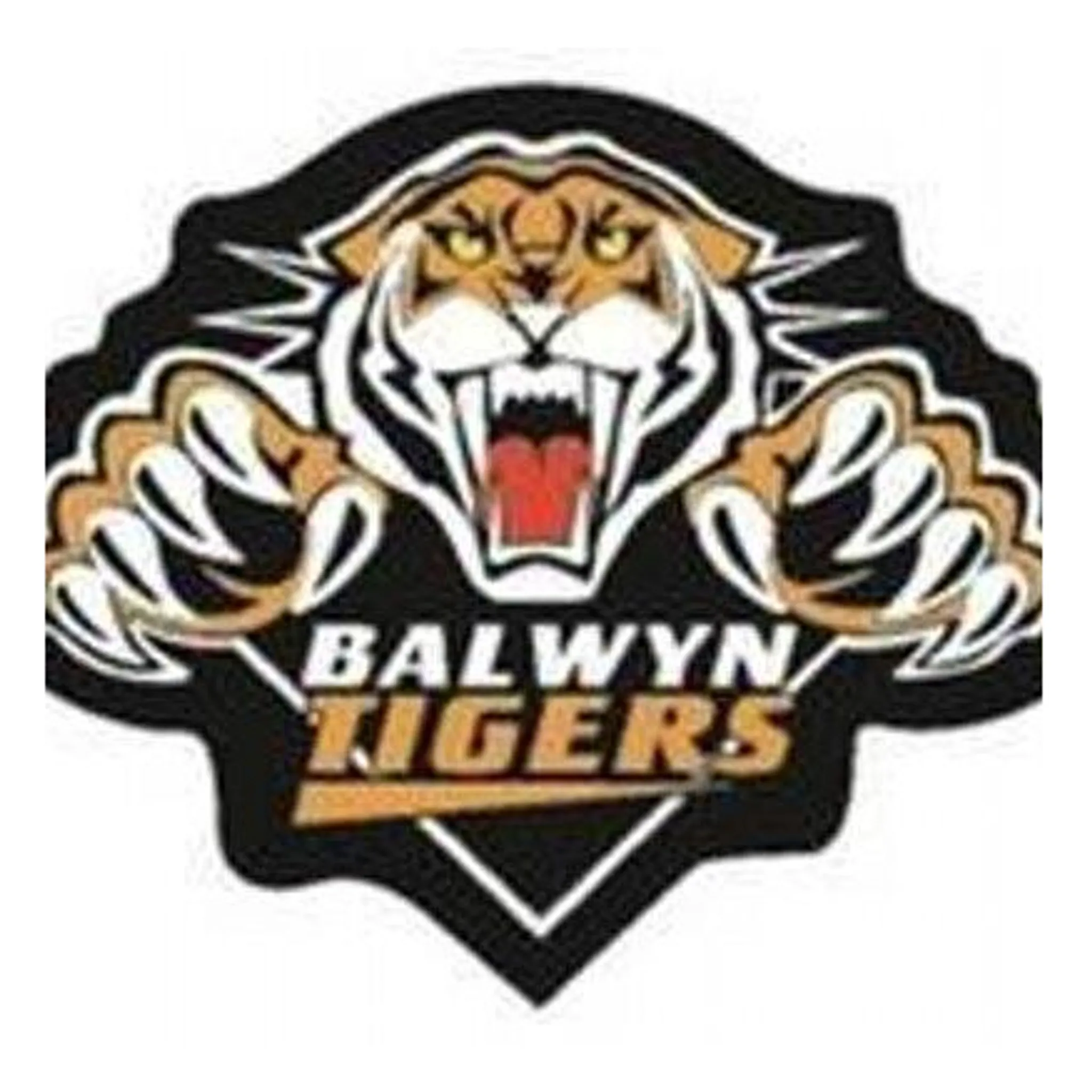 Balwyn Football Club