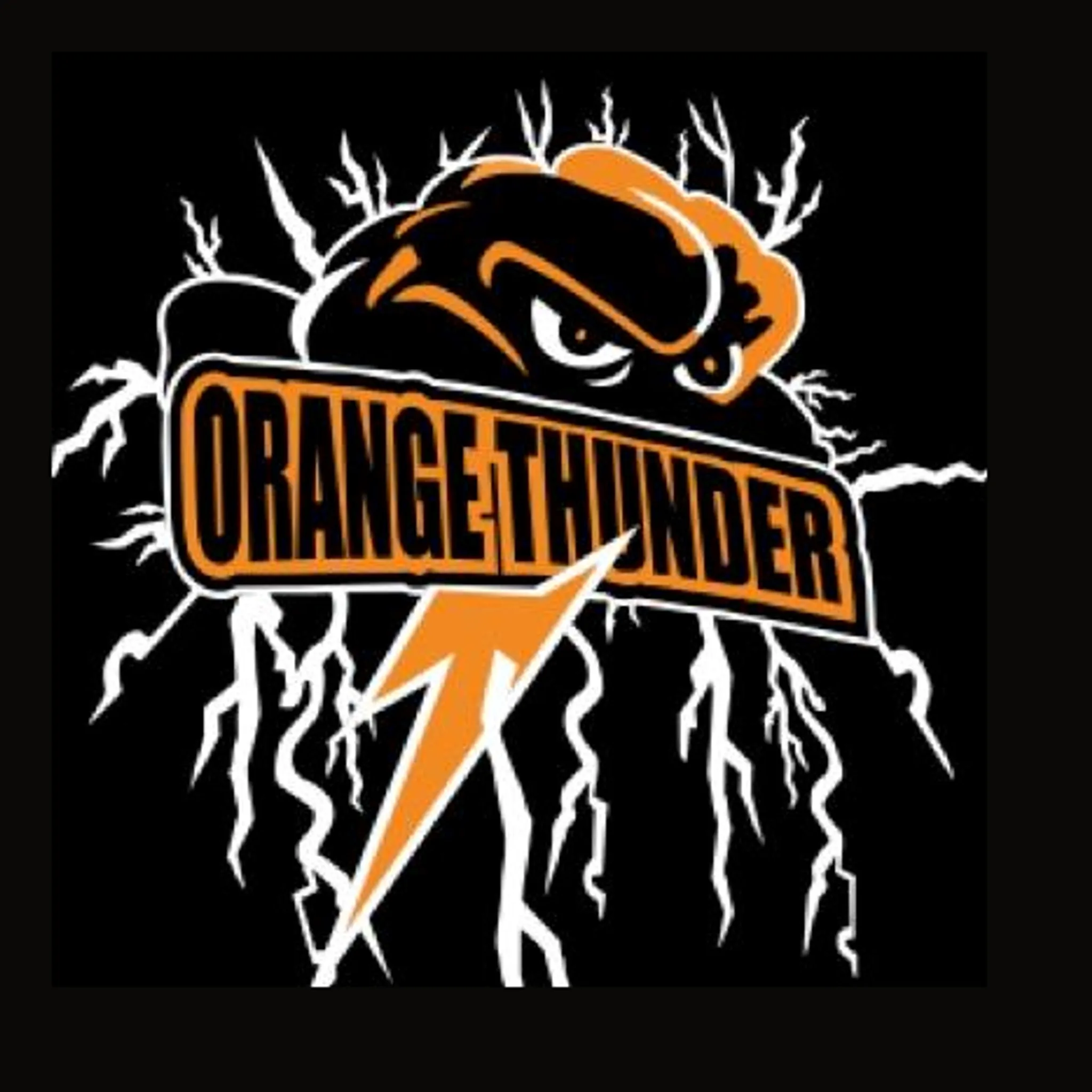 City of Orange Touch Association