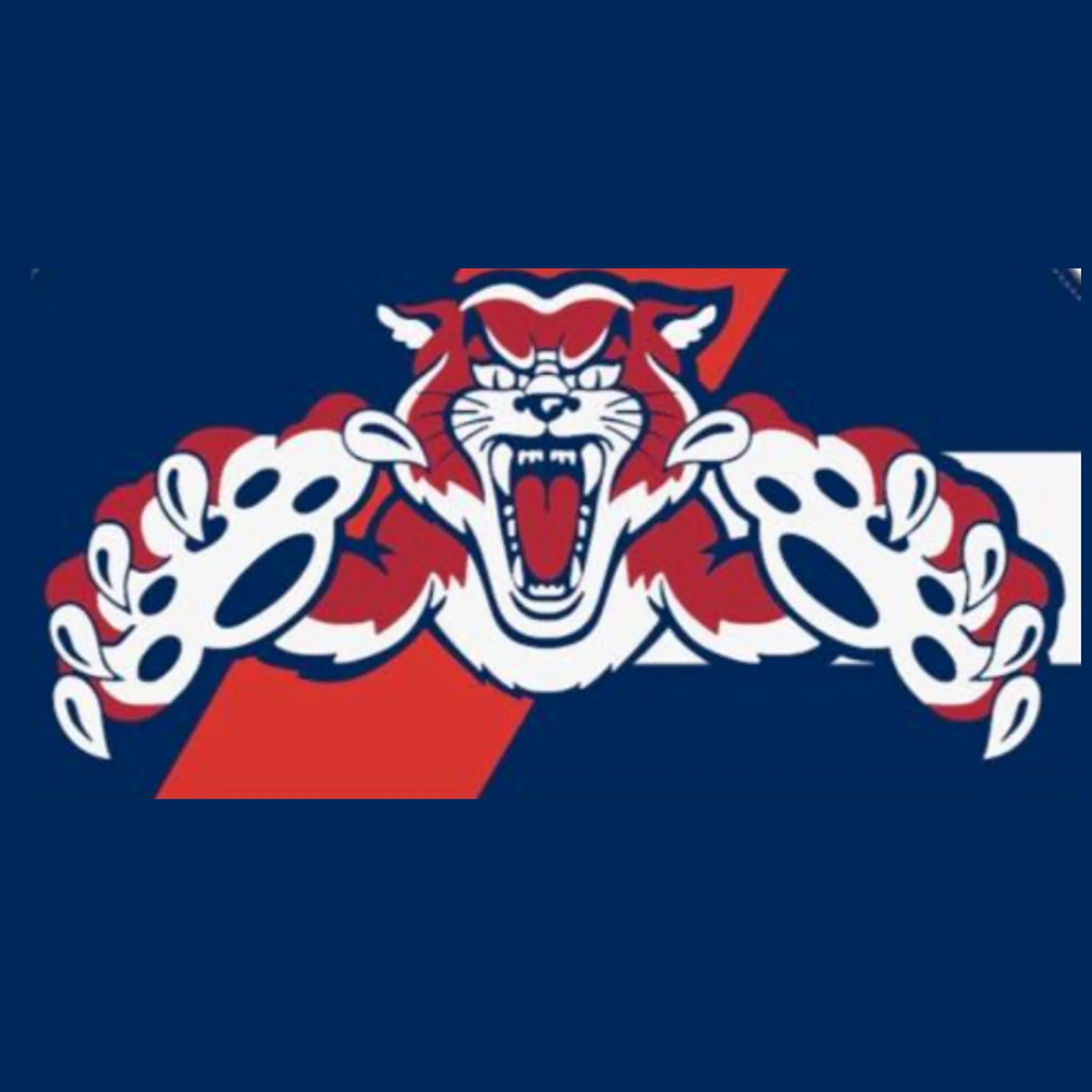 Finley Football Netball Club