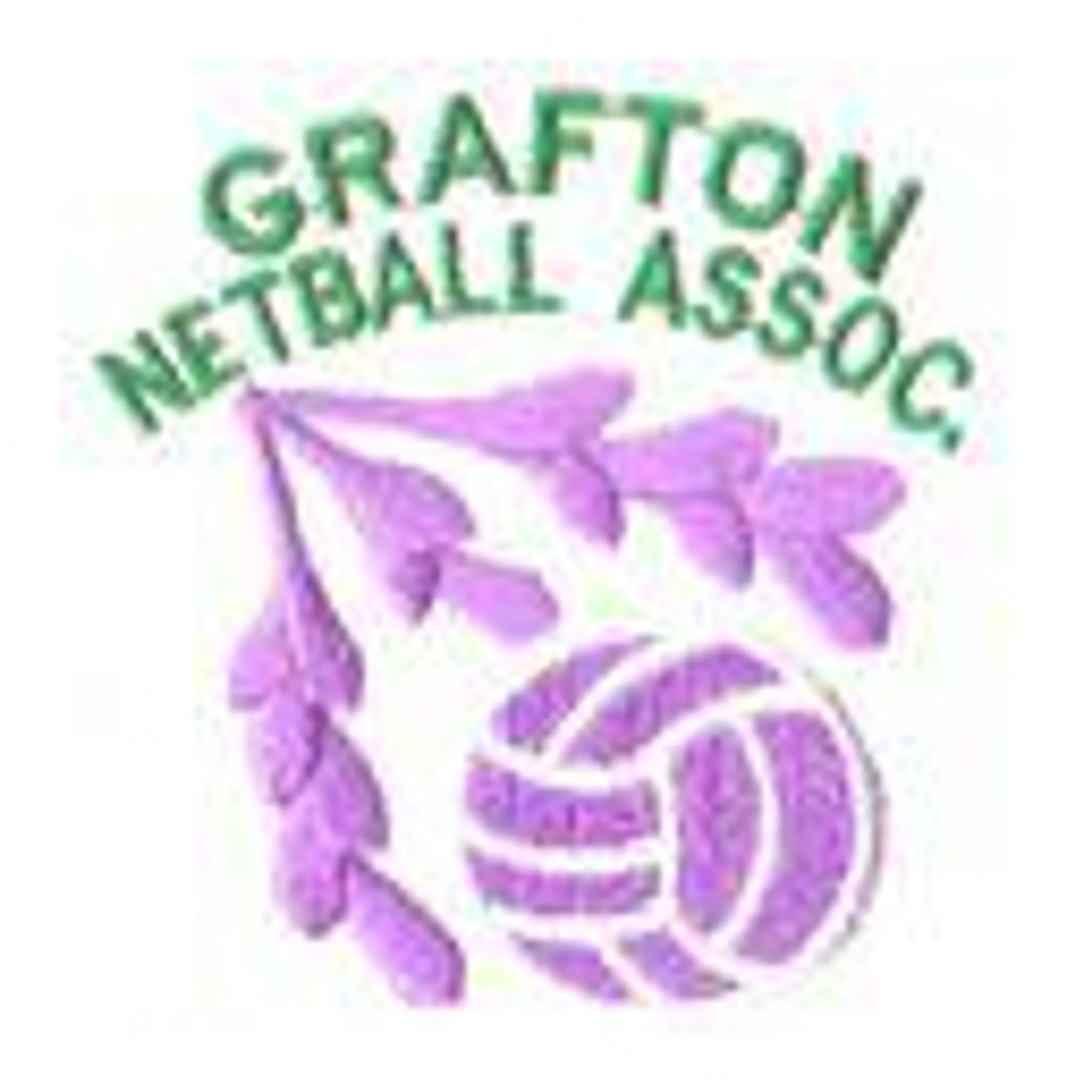 Grafton Netball Association