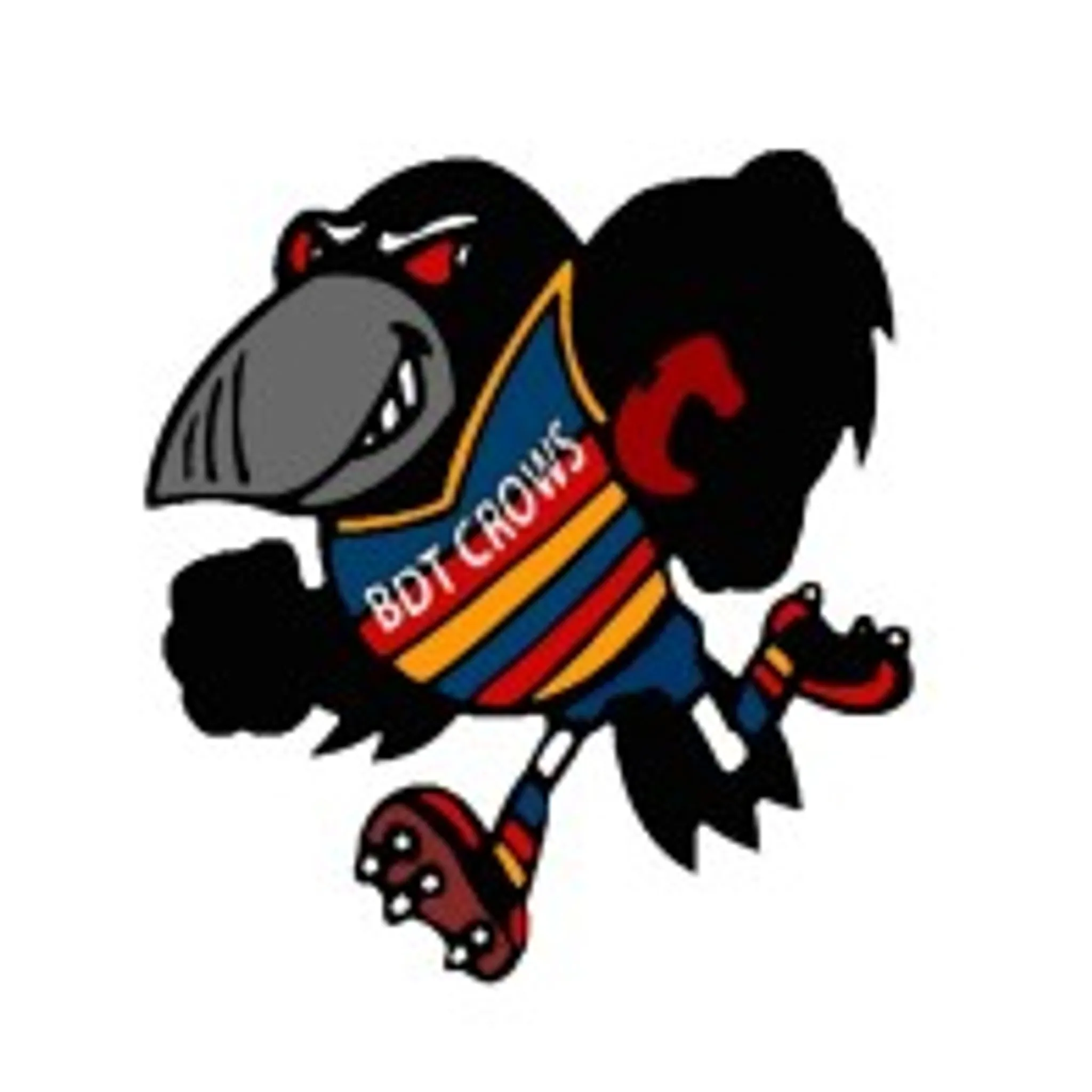 Border Downs Tintinara Football and Netball Club