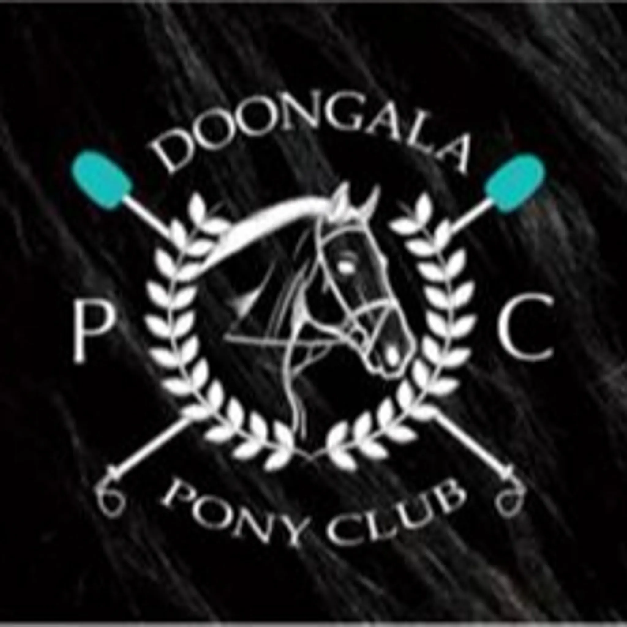 Doongala Pony Club