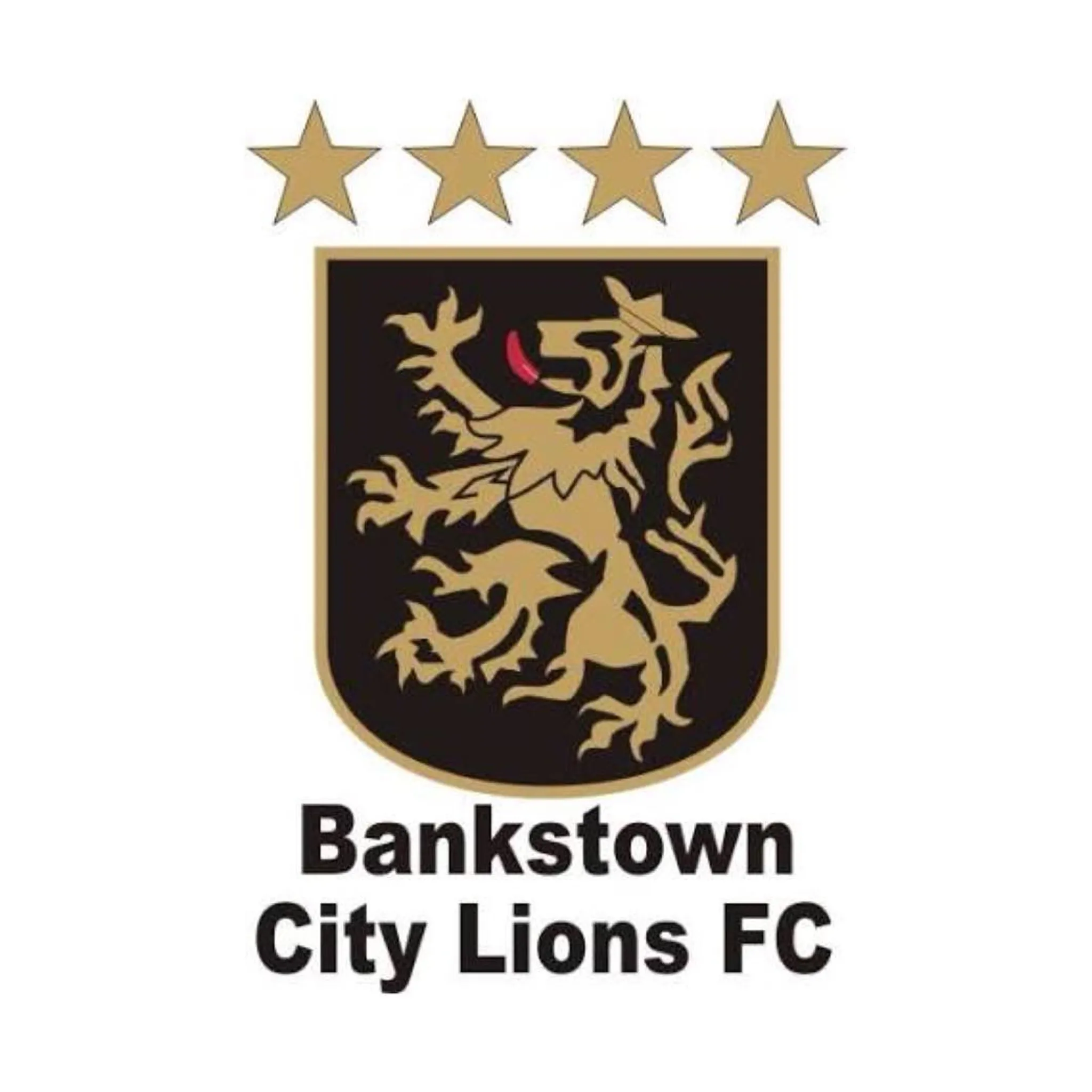 Bankstown City Football Club