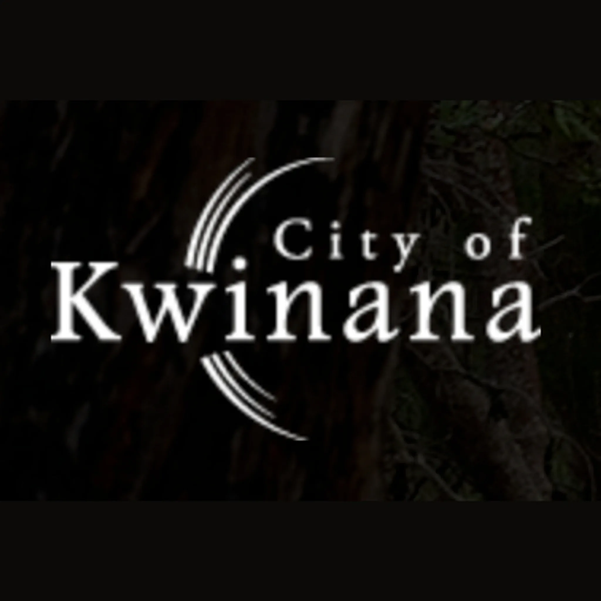 Medina Ladies Badminton Club