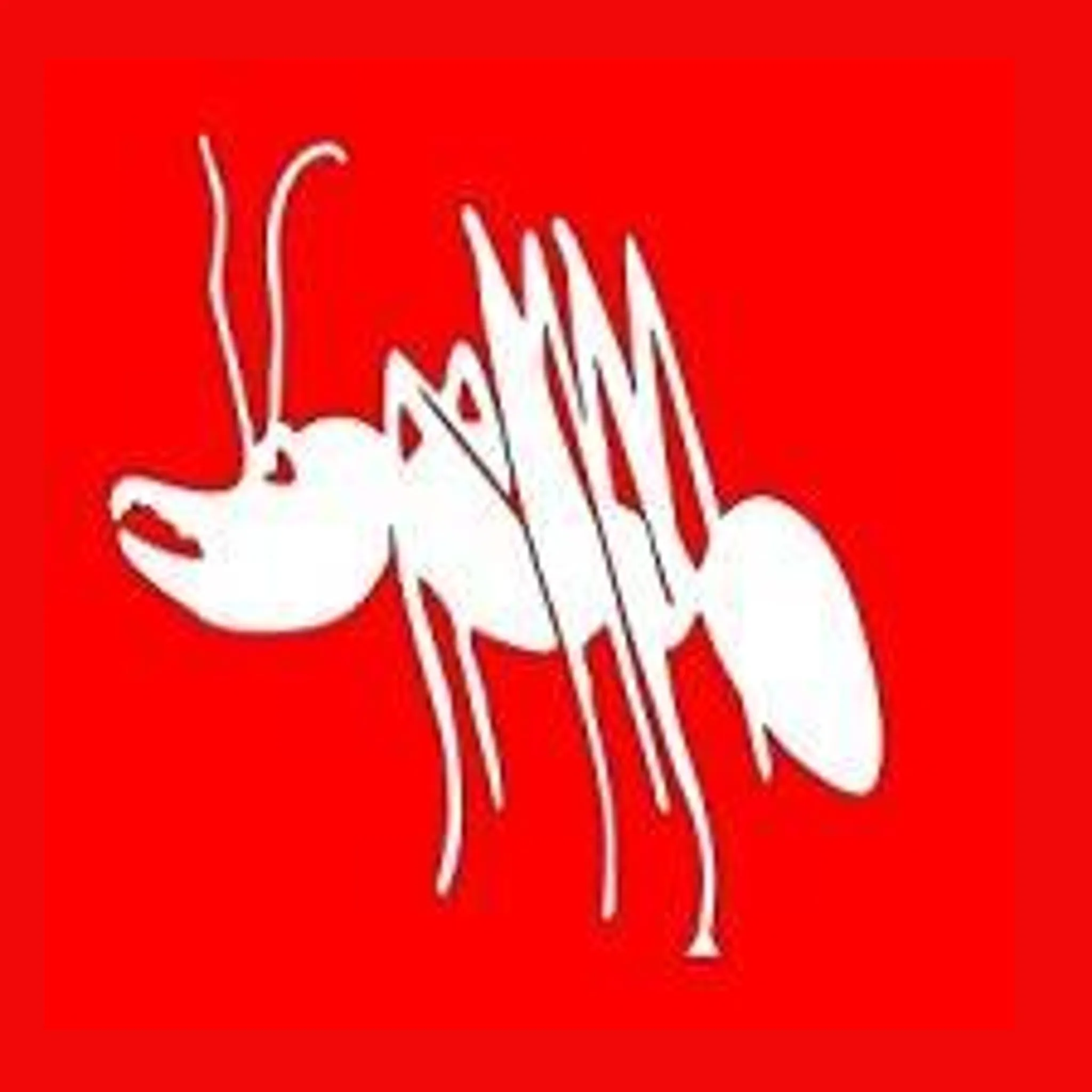 Preston Bullants Junior Football Club