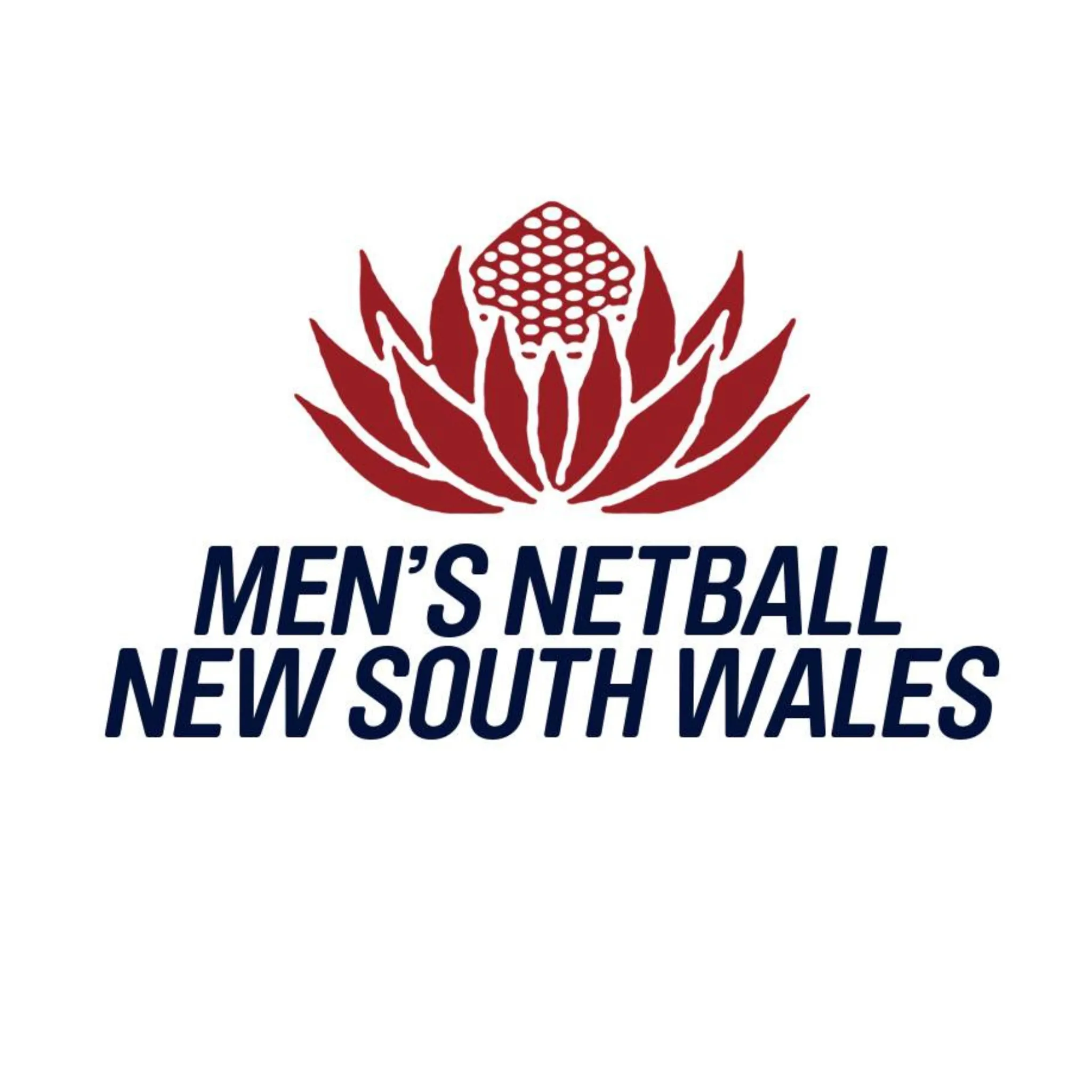 Men's Netball NSW