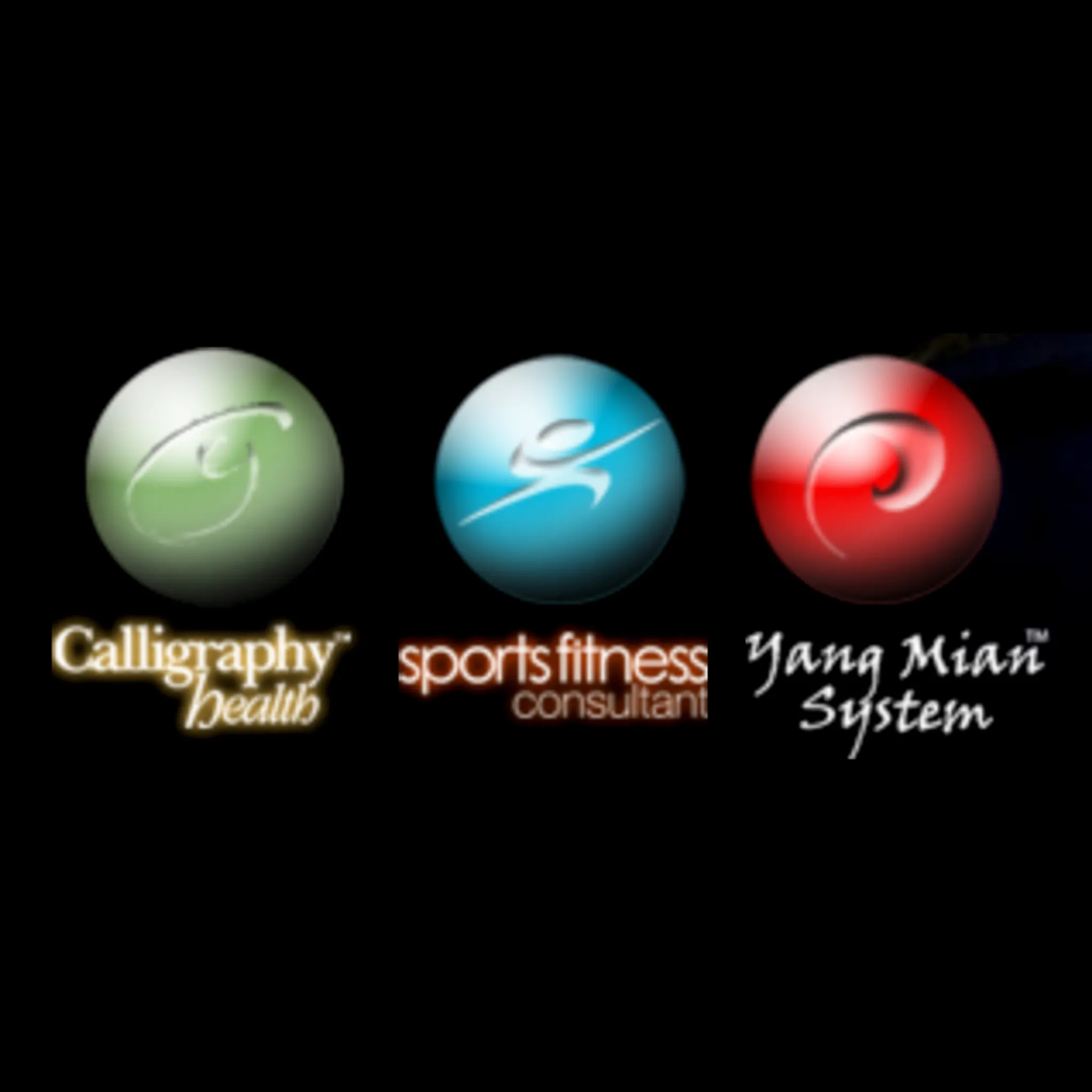 Yang Mian System - NSW