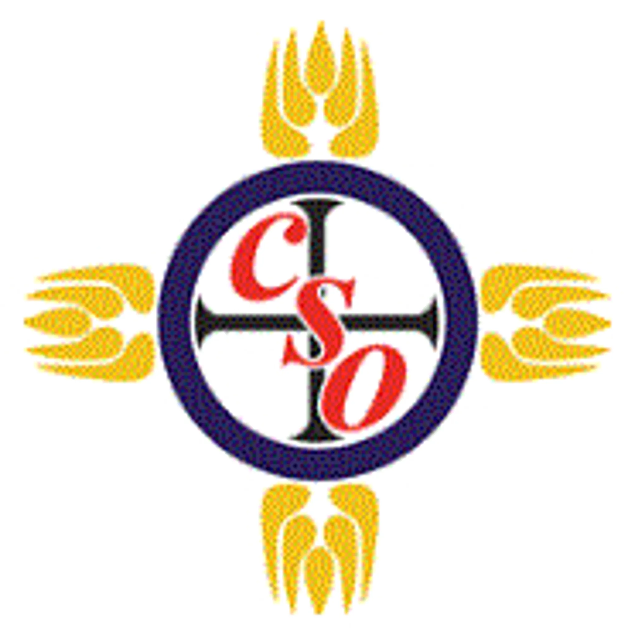 Armidale Catholics Schools Netball Club