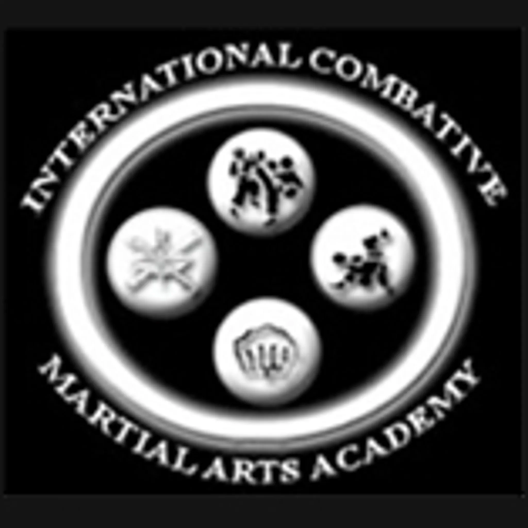 International Combative Martial Arts Academy
