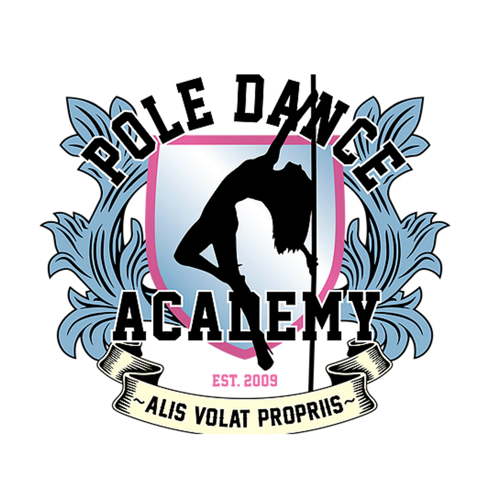 The Pole Dance Academy