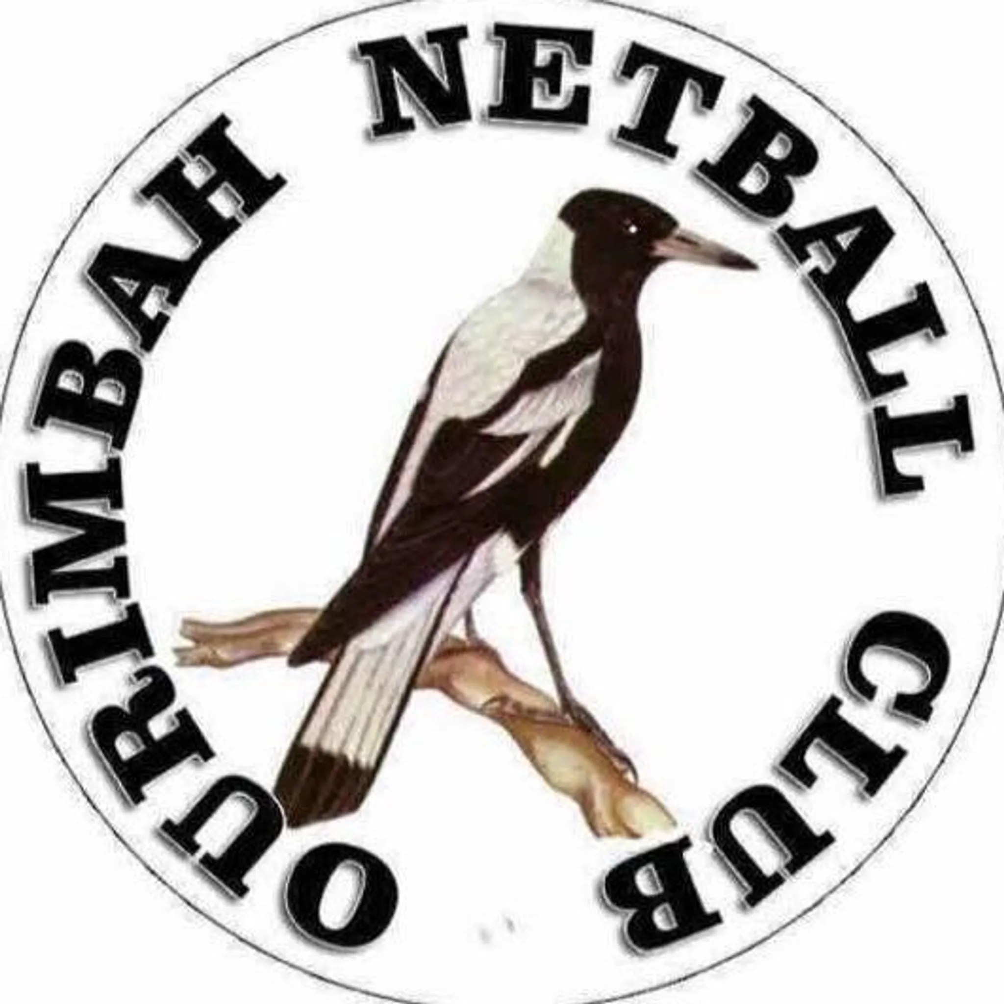 Ourimbah Netball Club