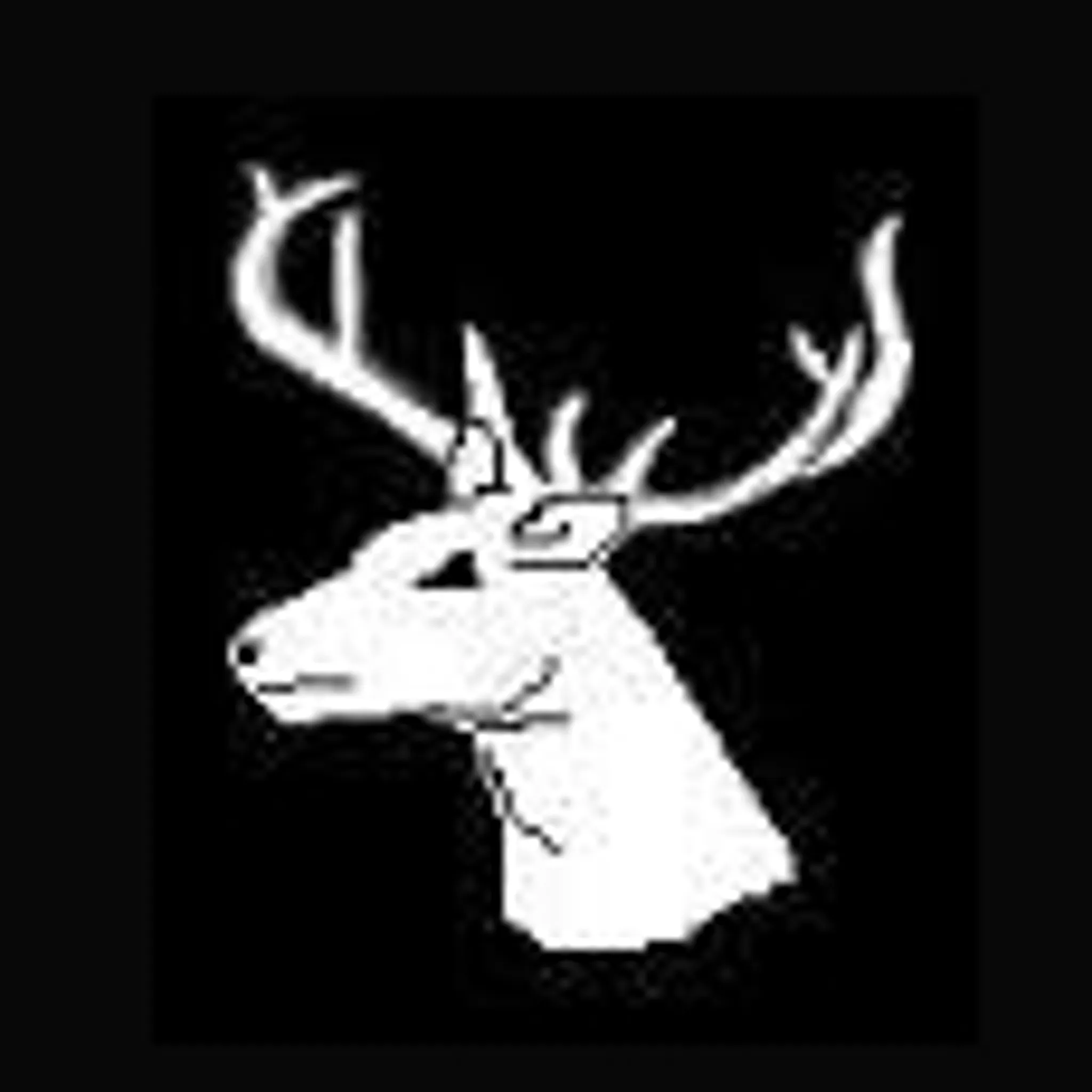 Glenorchy Rugby Union Football Club