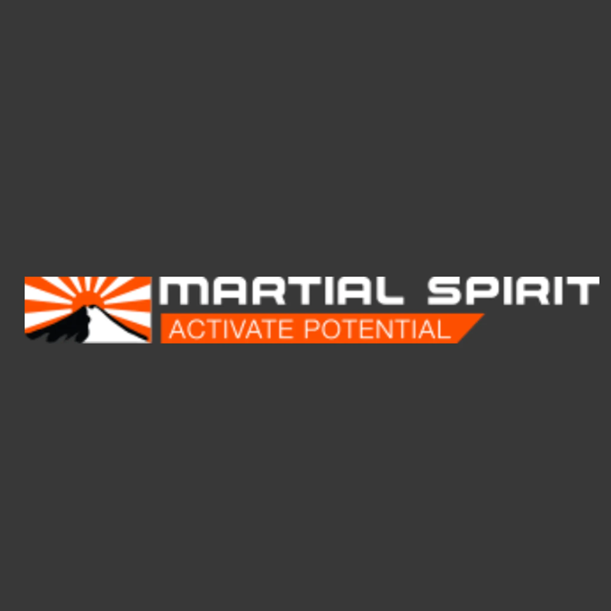Martial Spirit Dojo