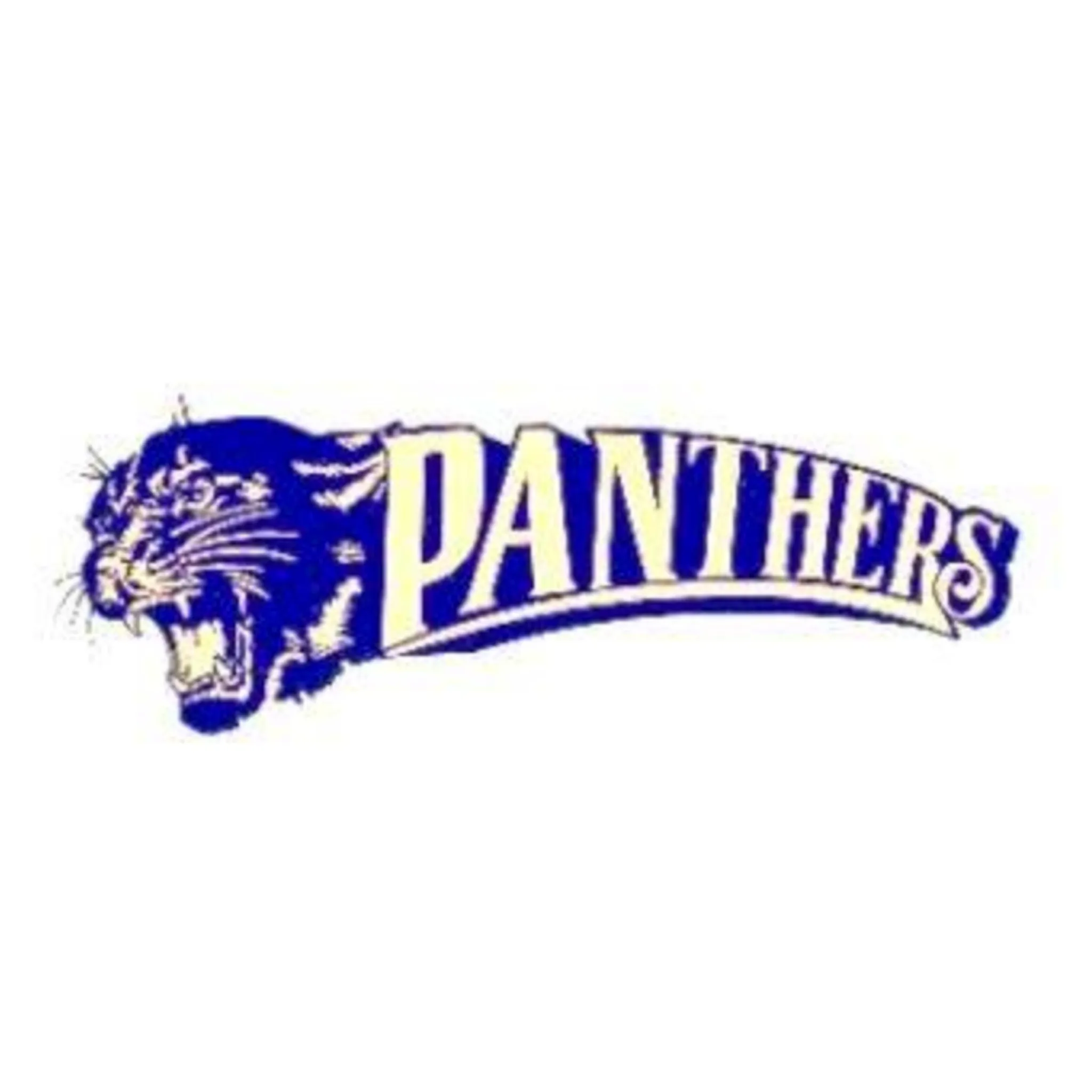 Angaston Panthers Basketball Club